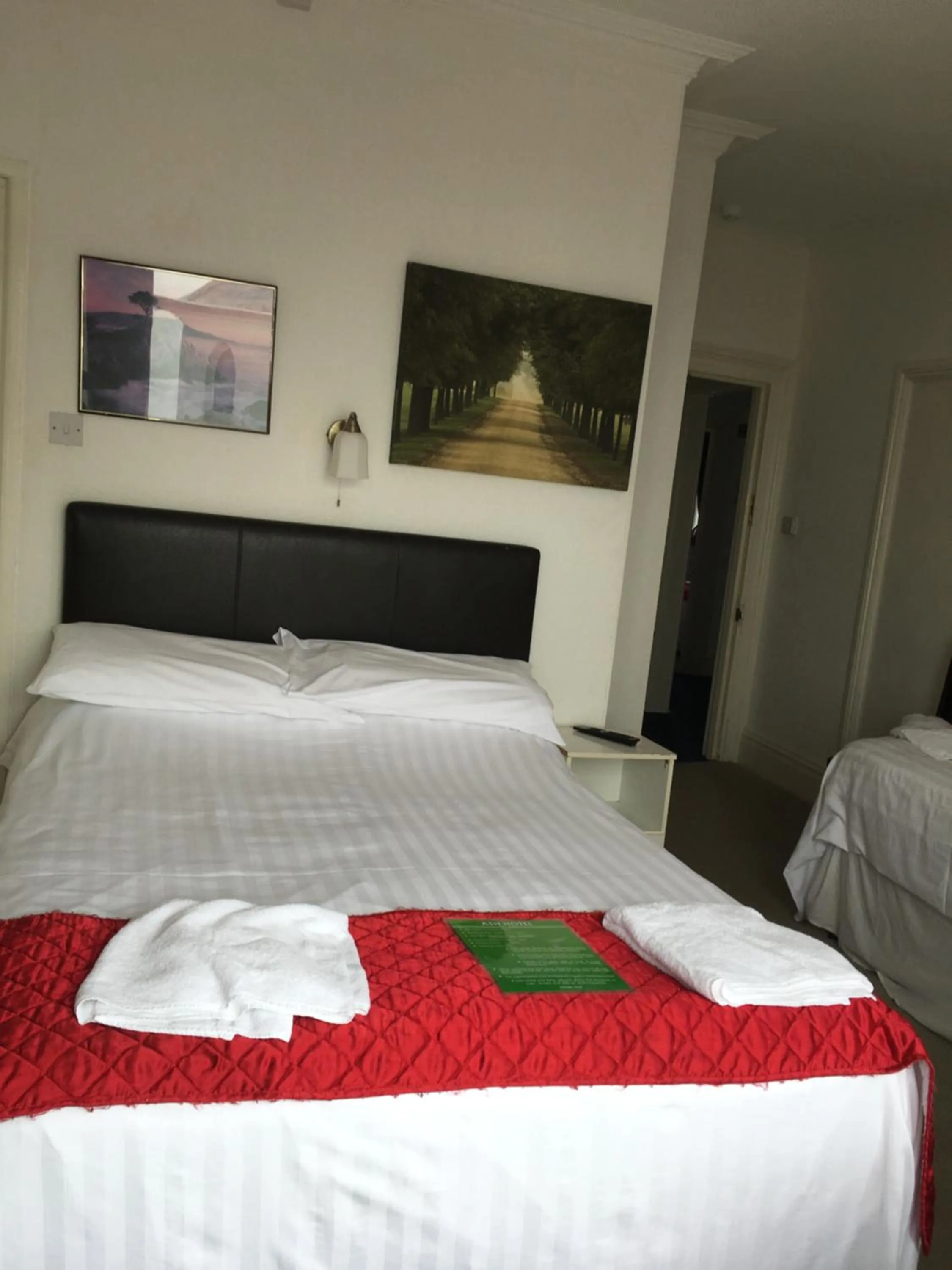 Bed in Ash Hotel B&B