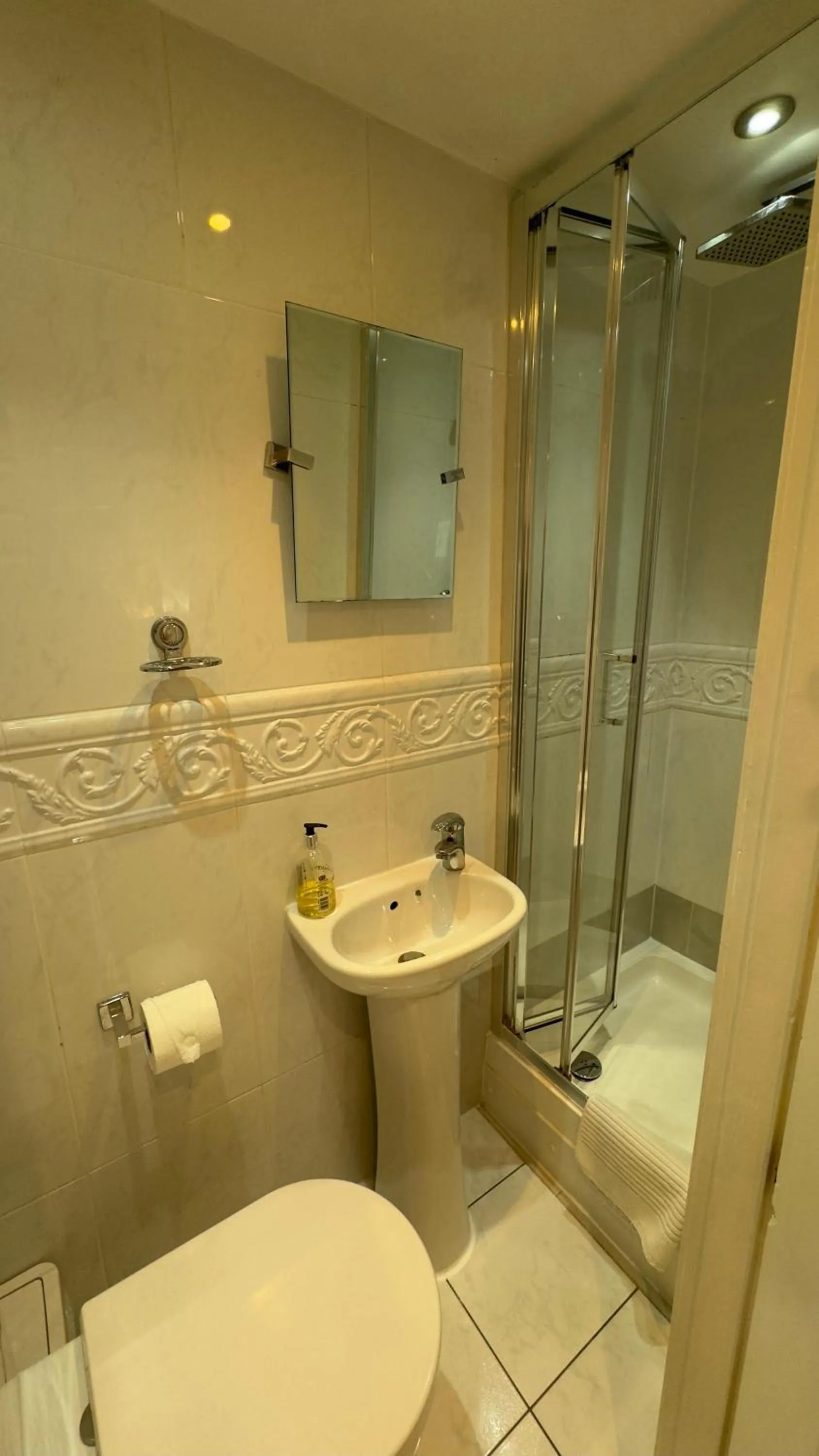 Shower in Classic Hyde Park Hotel