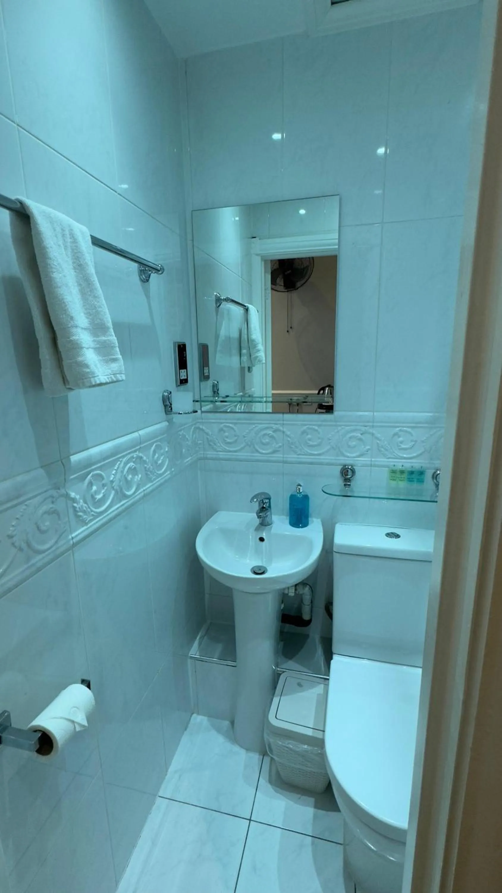 Shower in Classic Hyde Park Hotel