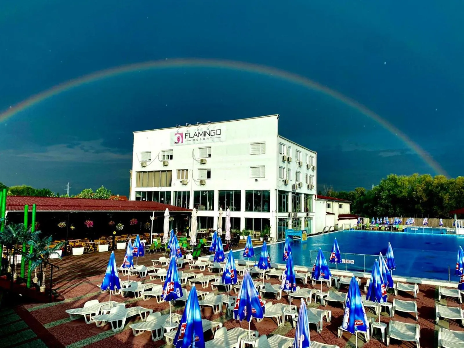 Swimming pool in Flamingo Resort