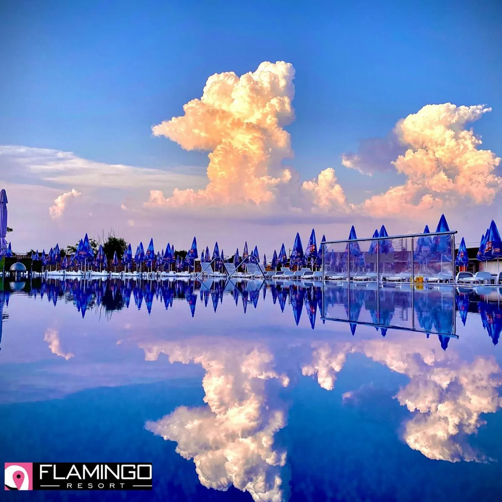 Swimming pool in Flamingo Resort