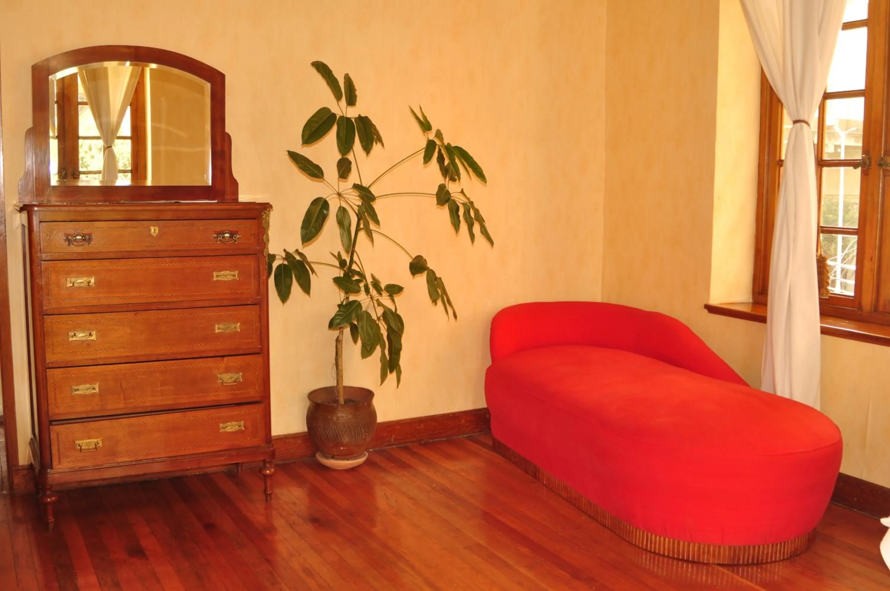 Decorative detail in Hotel Boutique El Consulado