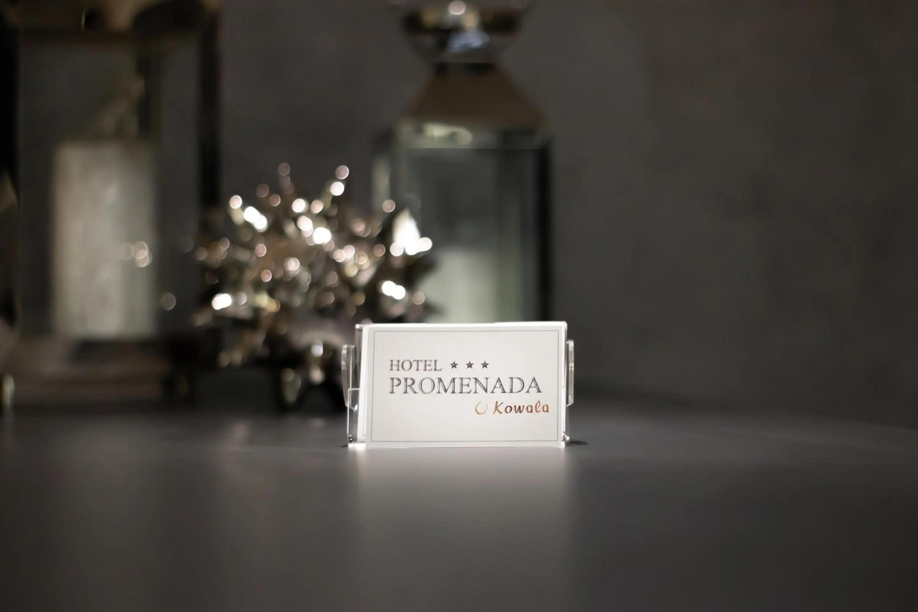 Property logo or sign in Hotel Promenada Biznes & Wypoczynek