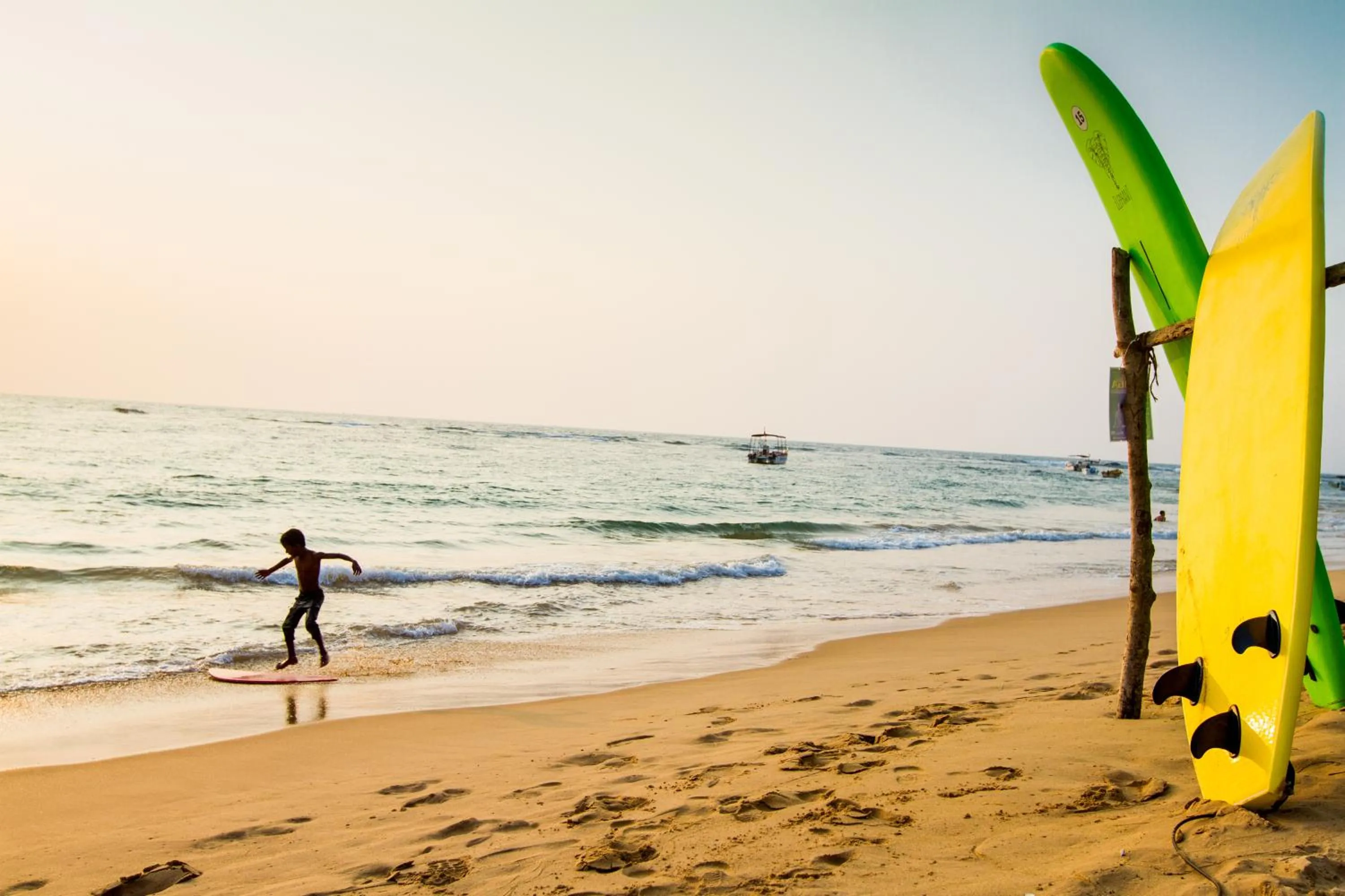 Activities in Lazy Koala