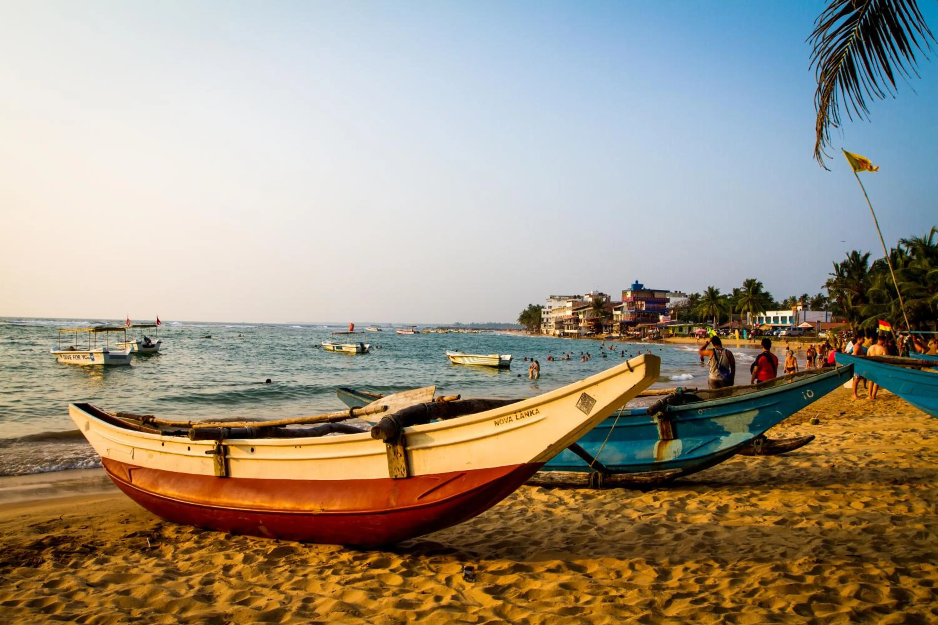 Activities in Lazy Koala