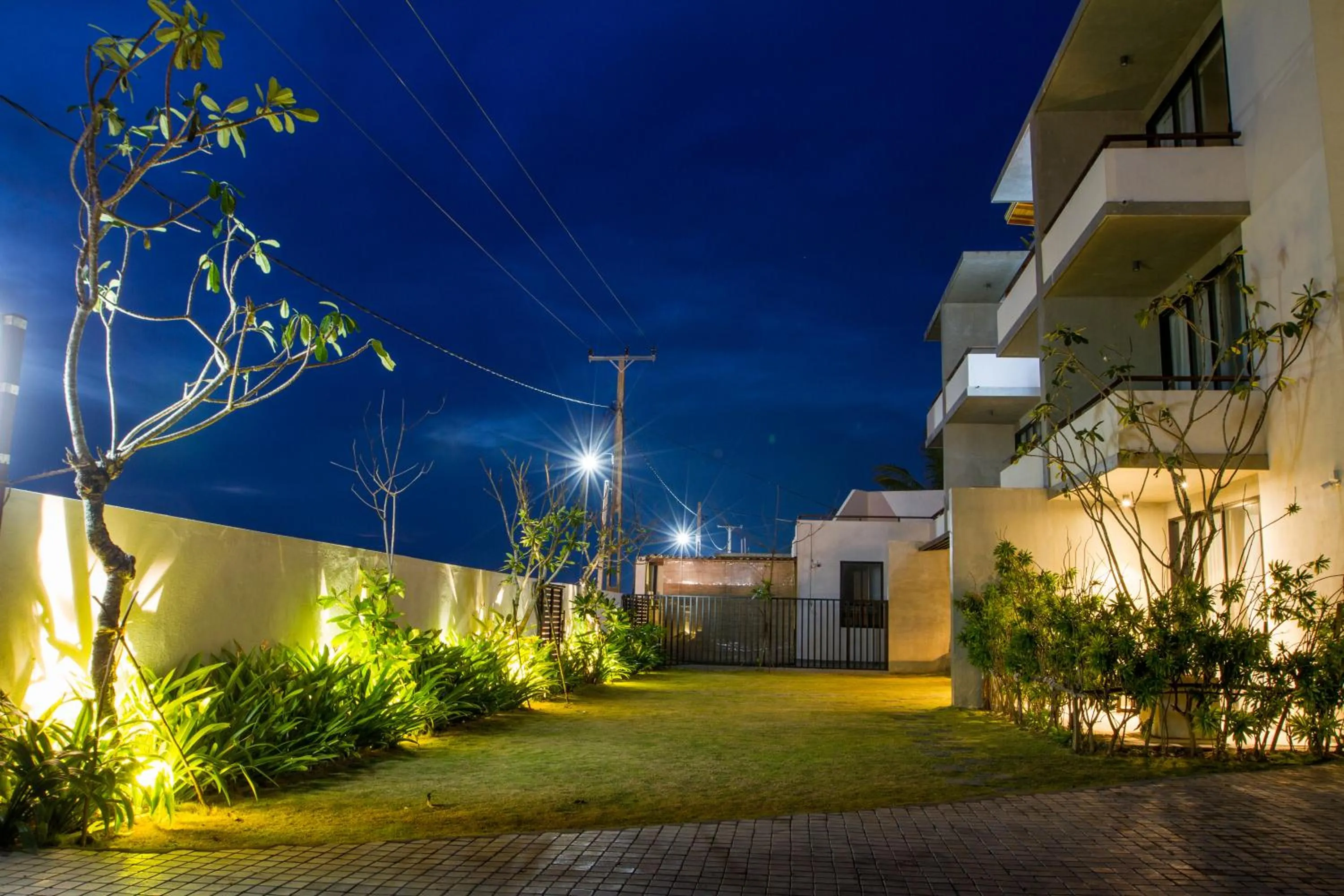 Garden in Lazy Koala