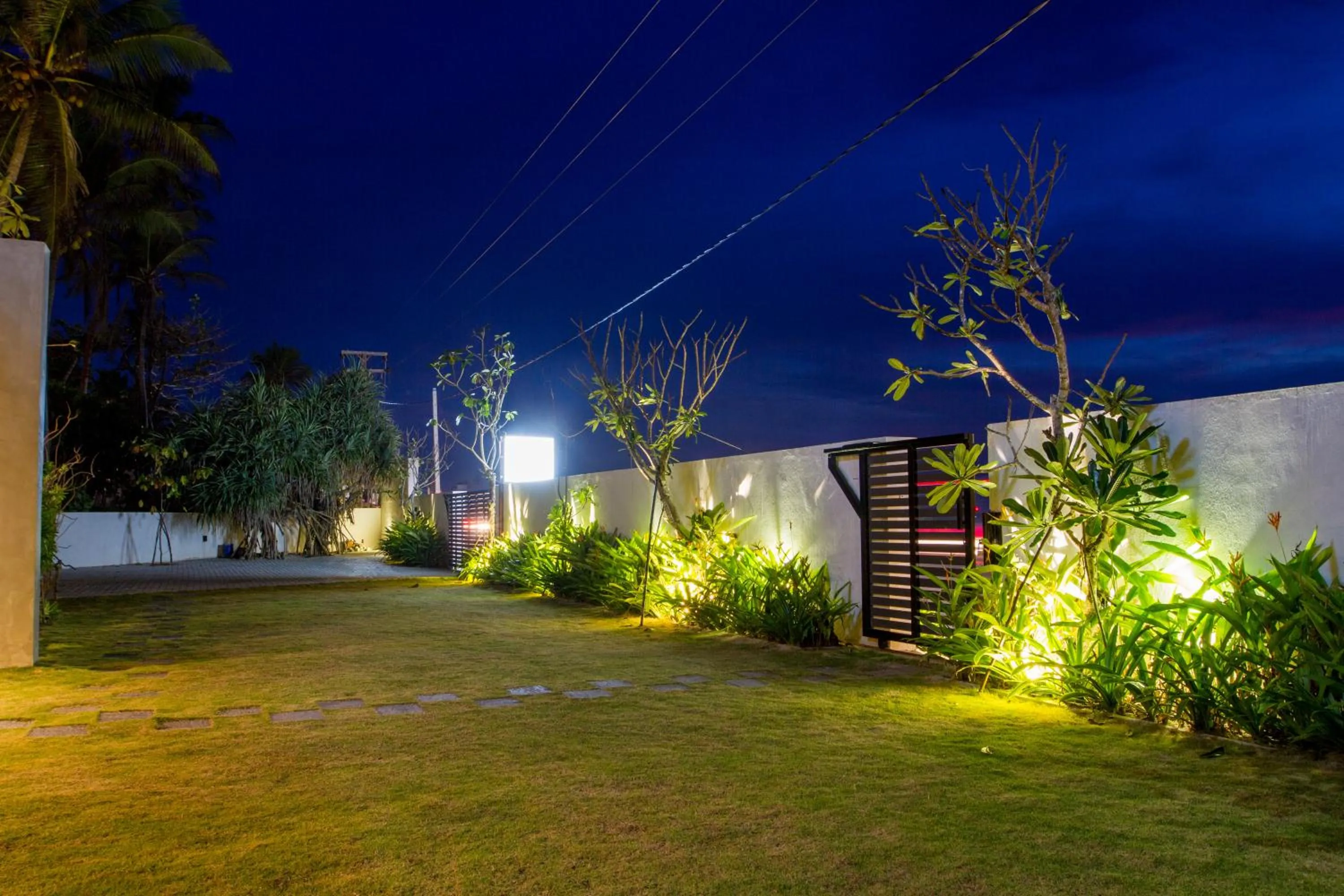 Garden in Lazy Koala