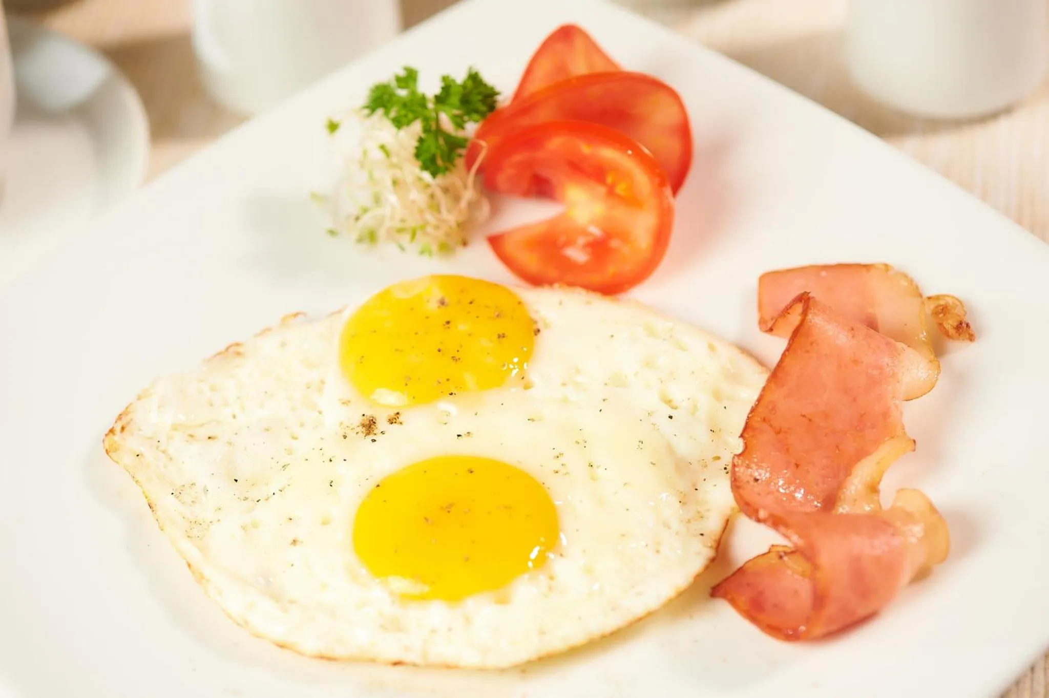 Food in Hotel Los Tambos Colonial