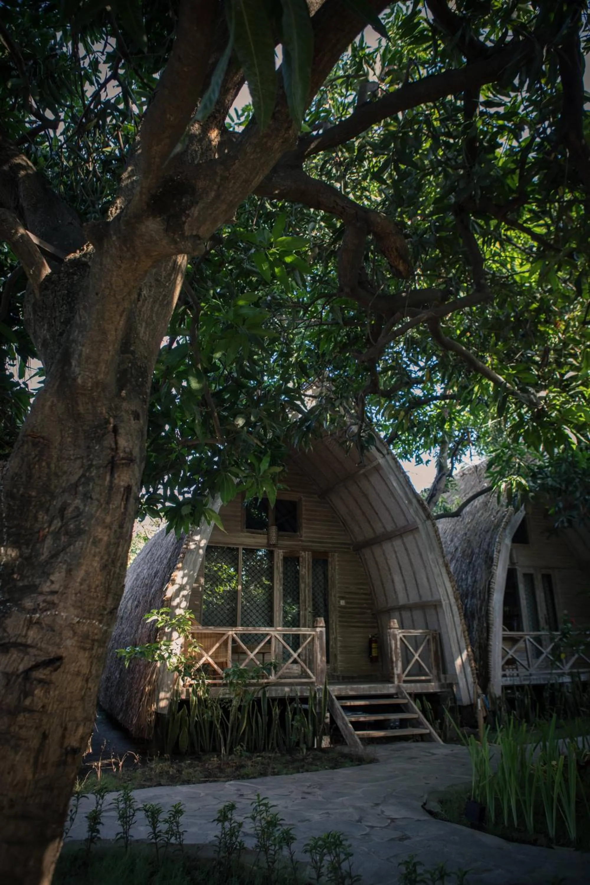 Flowers & Fire Yoga Garden