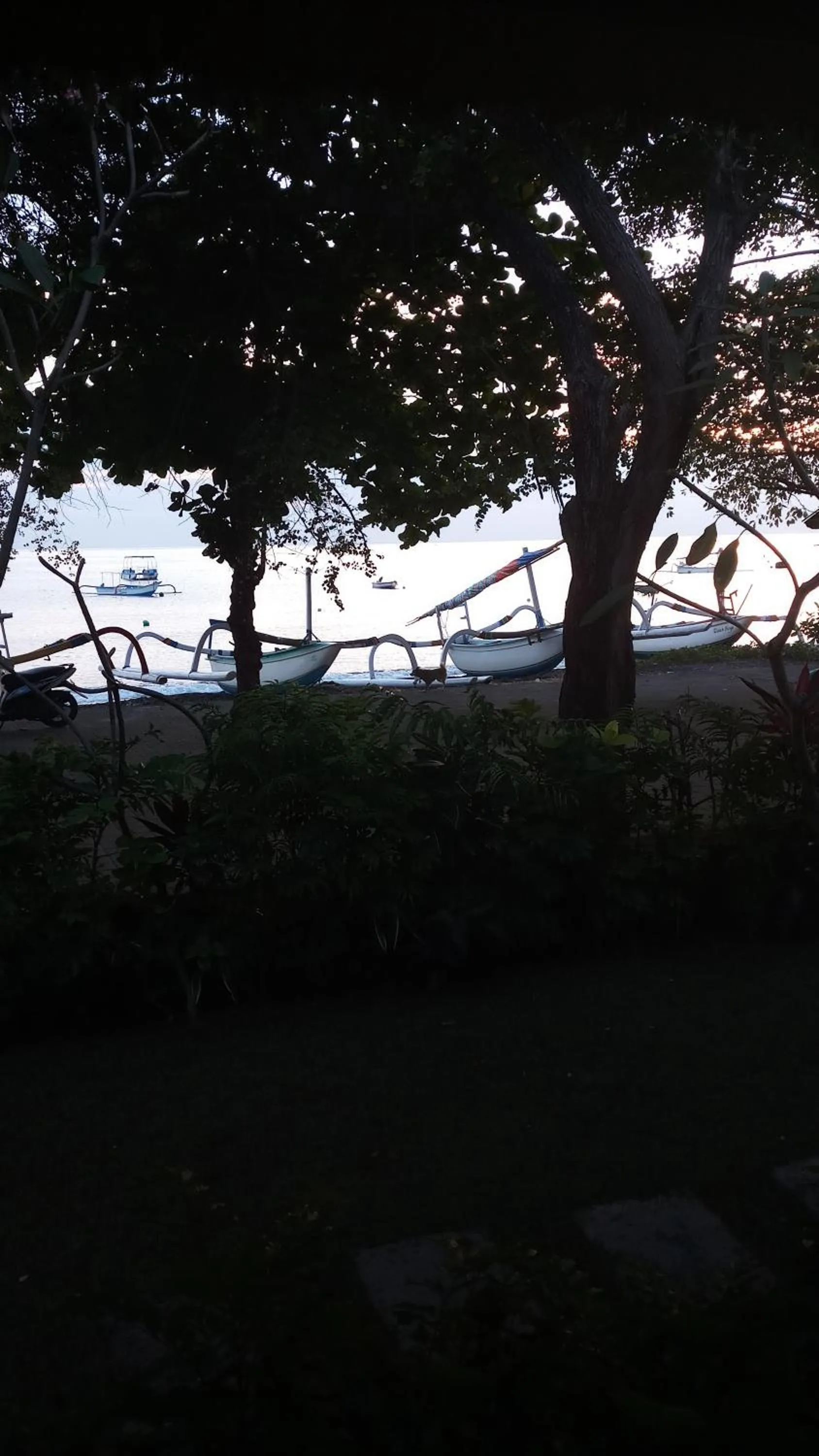 Beach in Jemeluk Beach Bungalows