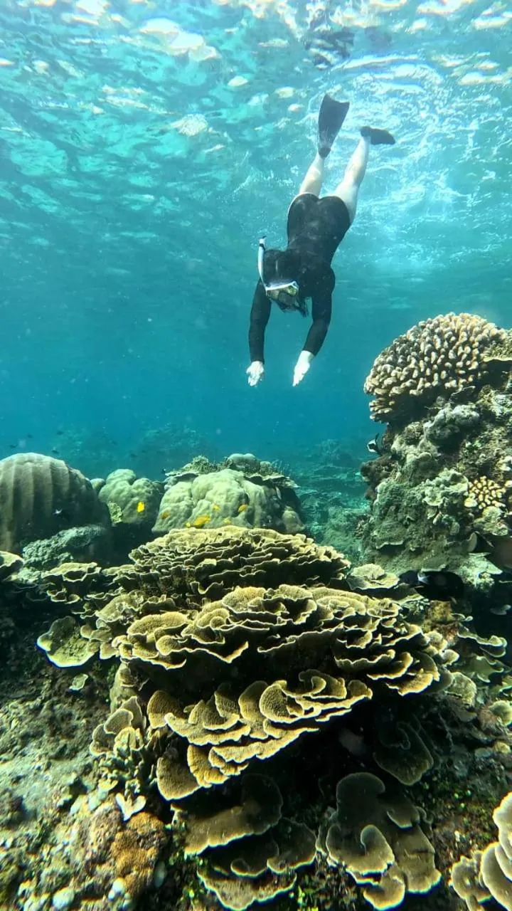 Jemeluk Beach Bungalows
