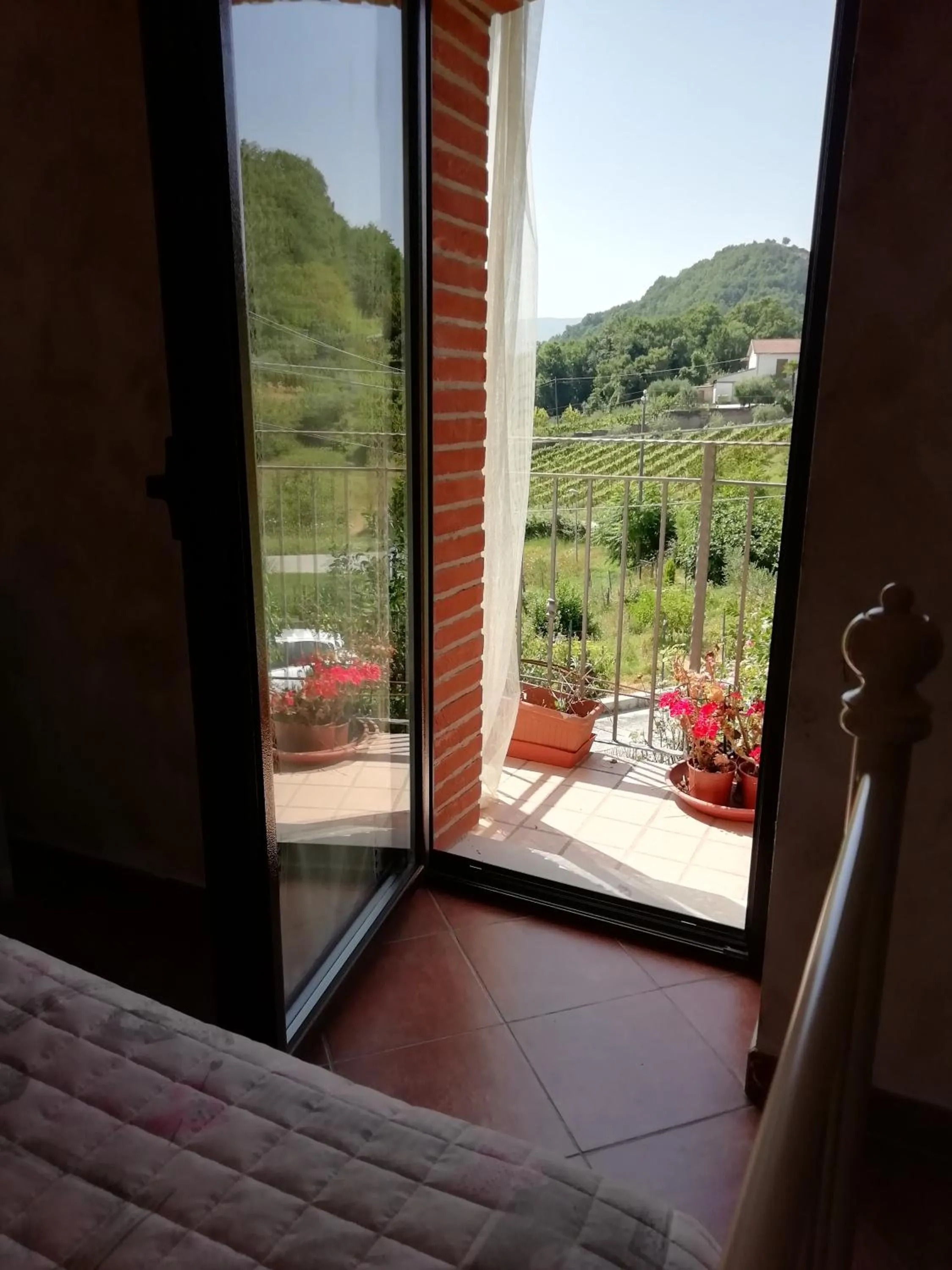 Alla Contrada degli Asinelli