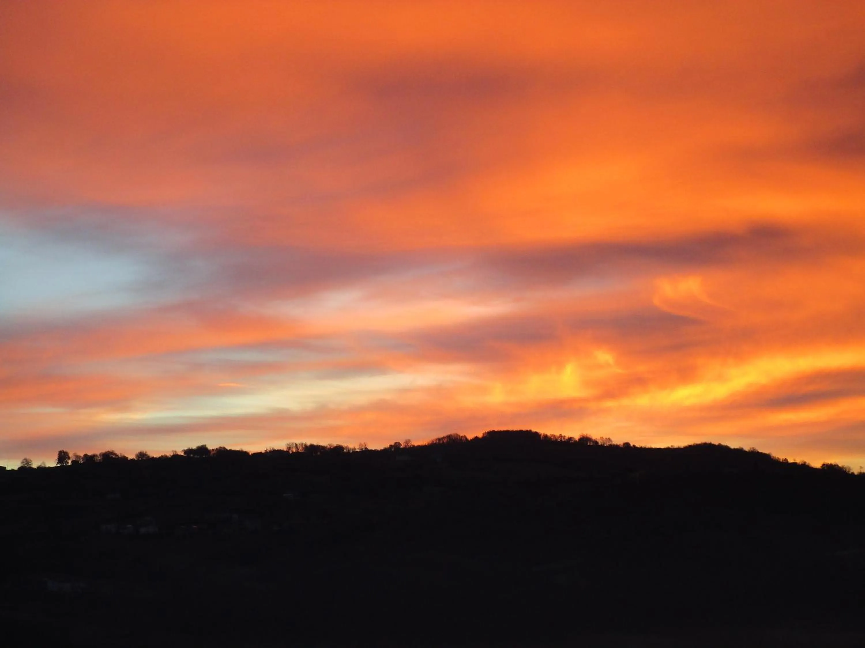 Alla Contrada degli Asinelli