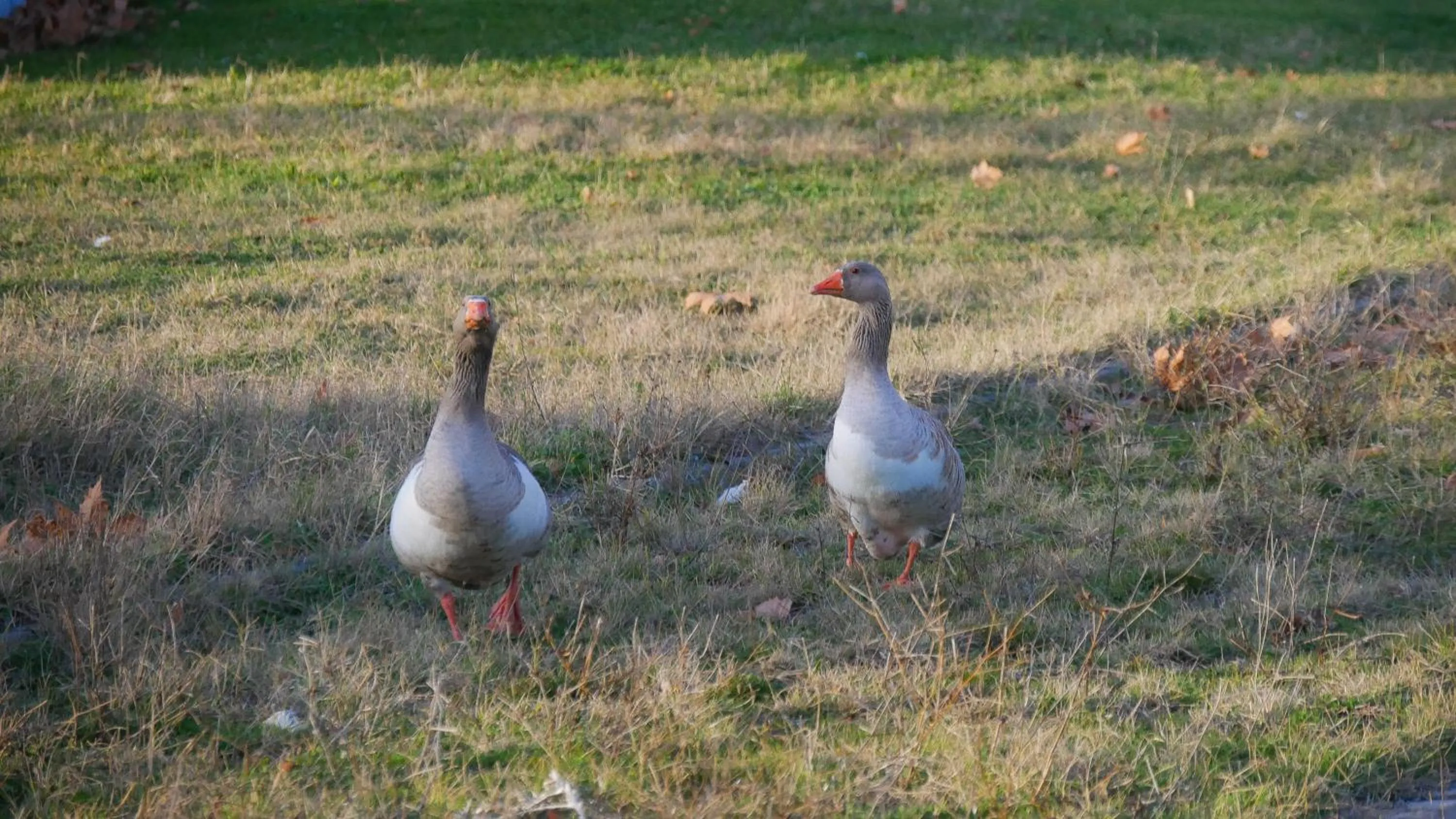 Day in Thrassa Hotel