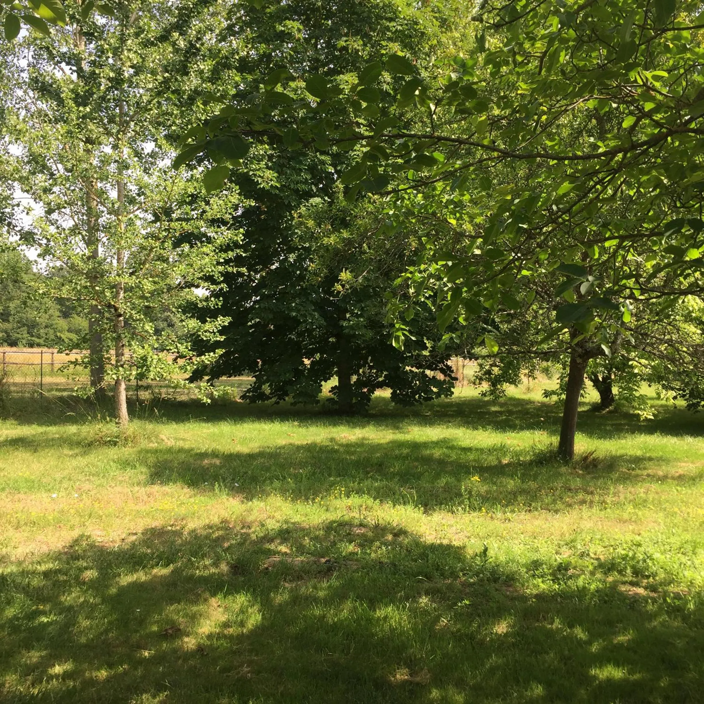 Garden in Chambre d'hôtes
