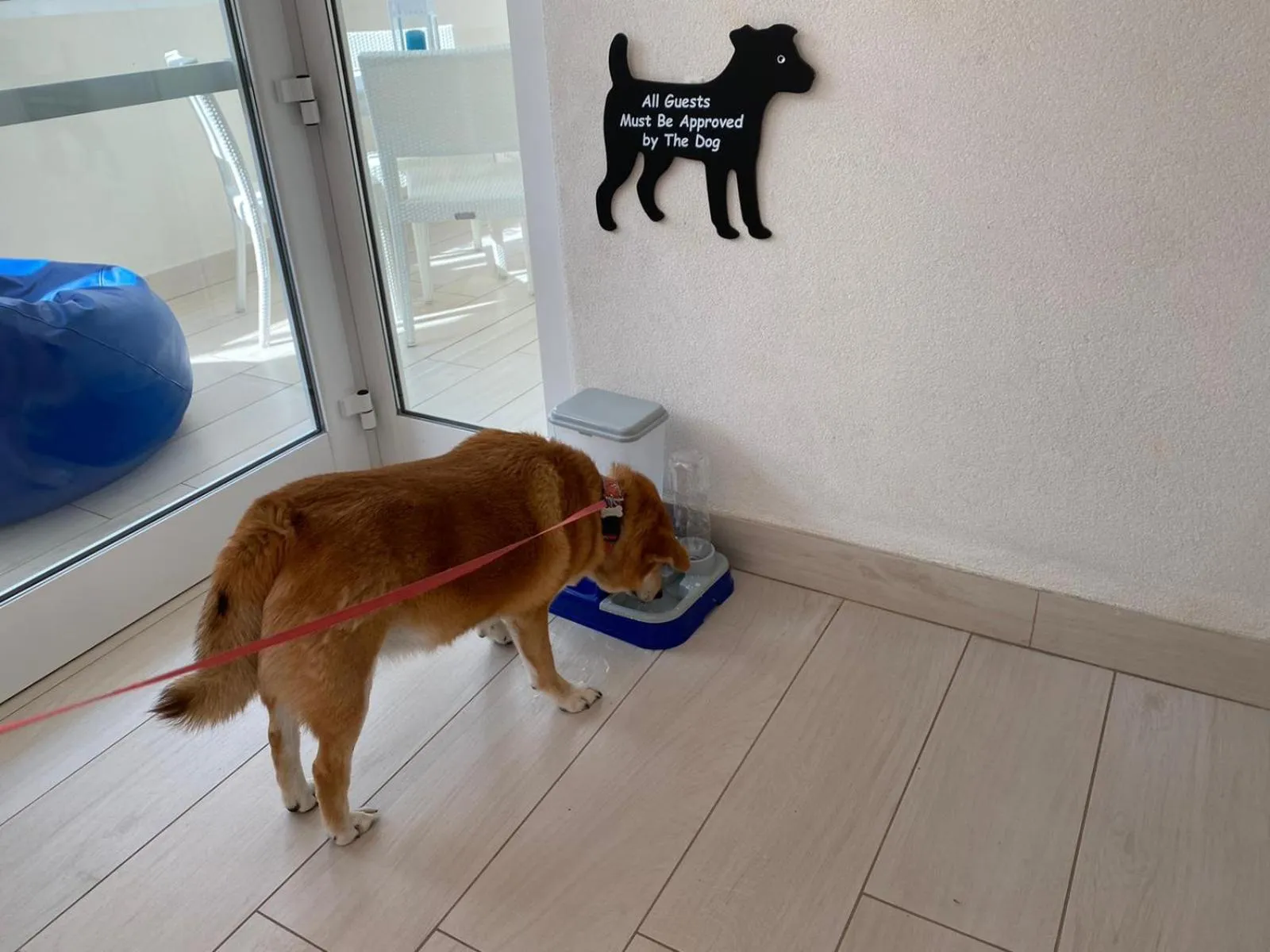 Communal lounge/ TV room in Mini Hotel