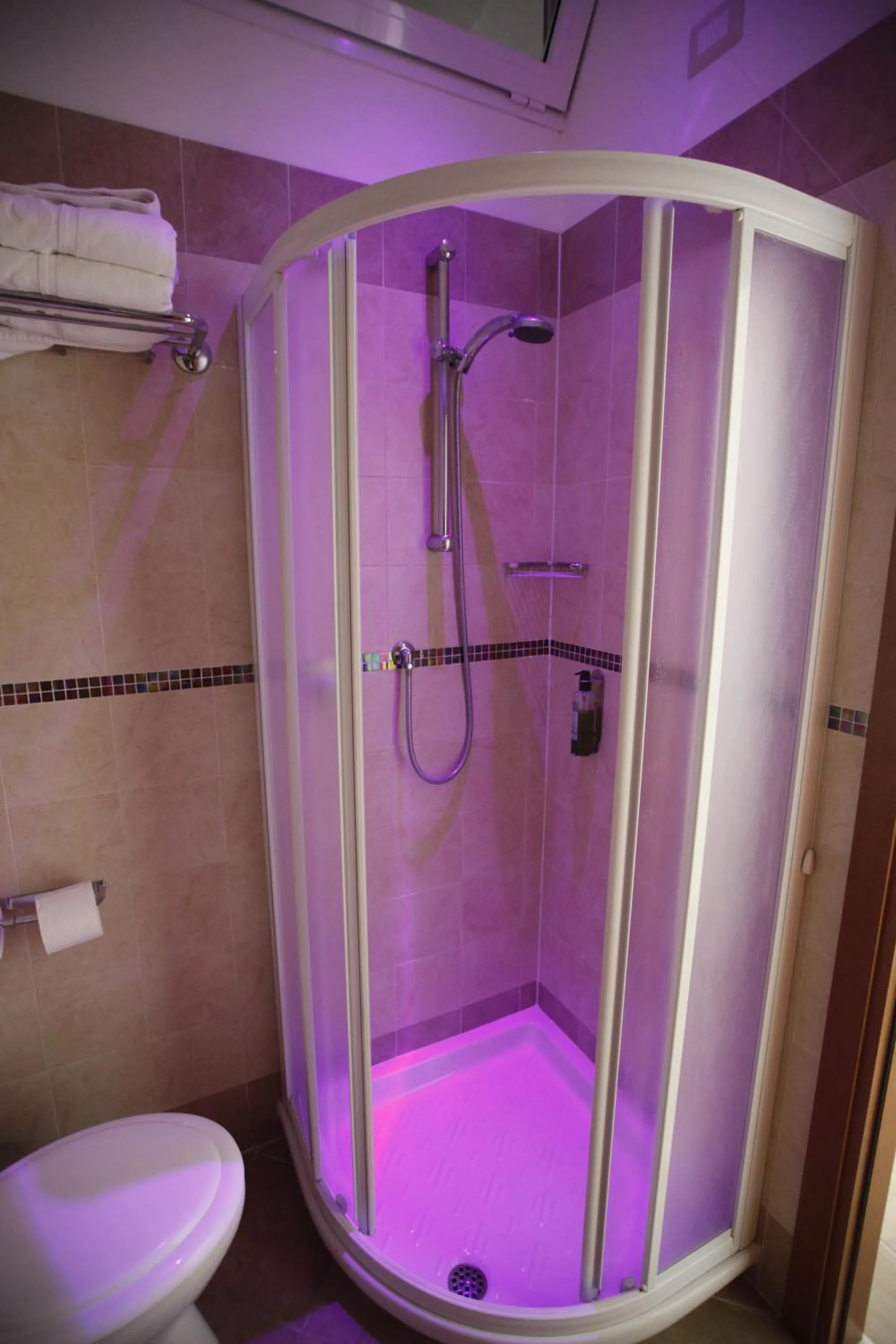 Shower in Mini Hotel