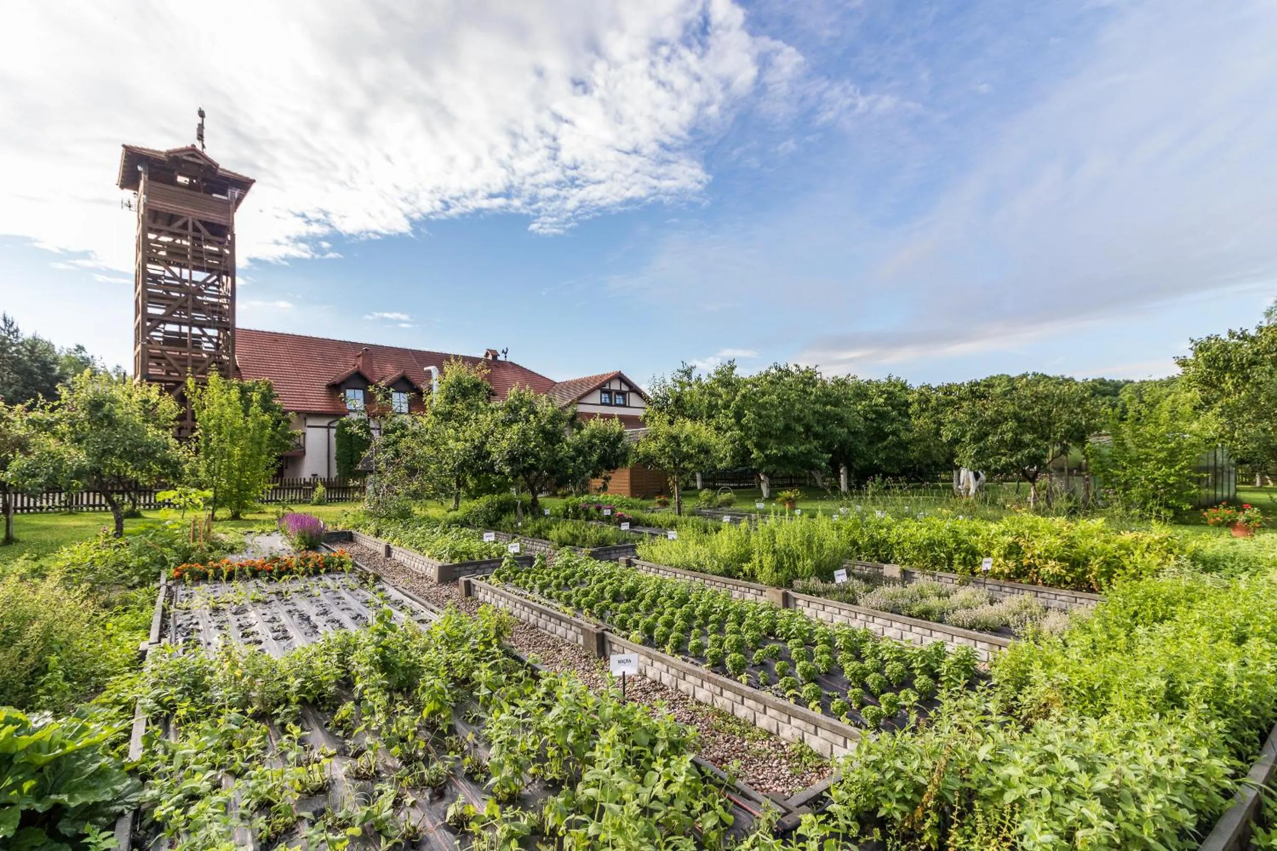 Garden in Hotel Osada Karbówko Wellness & SPA