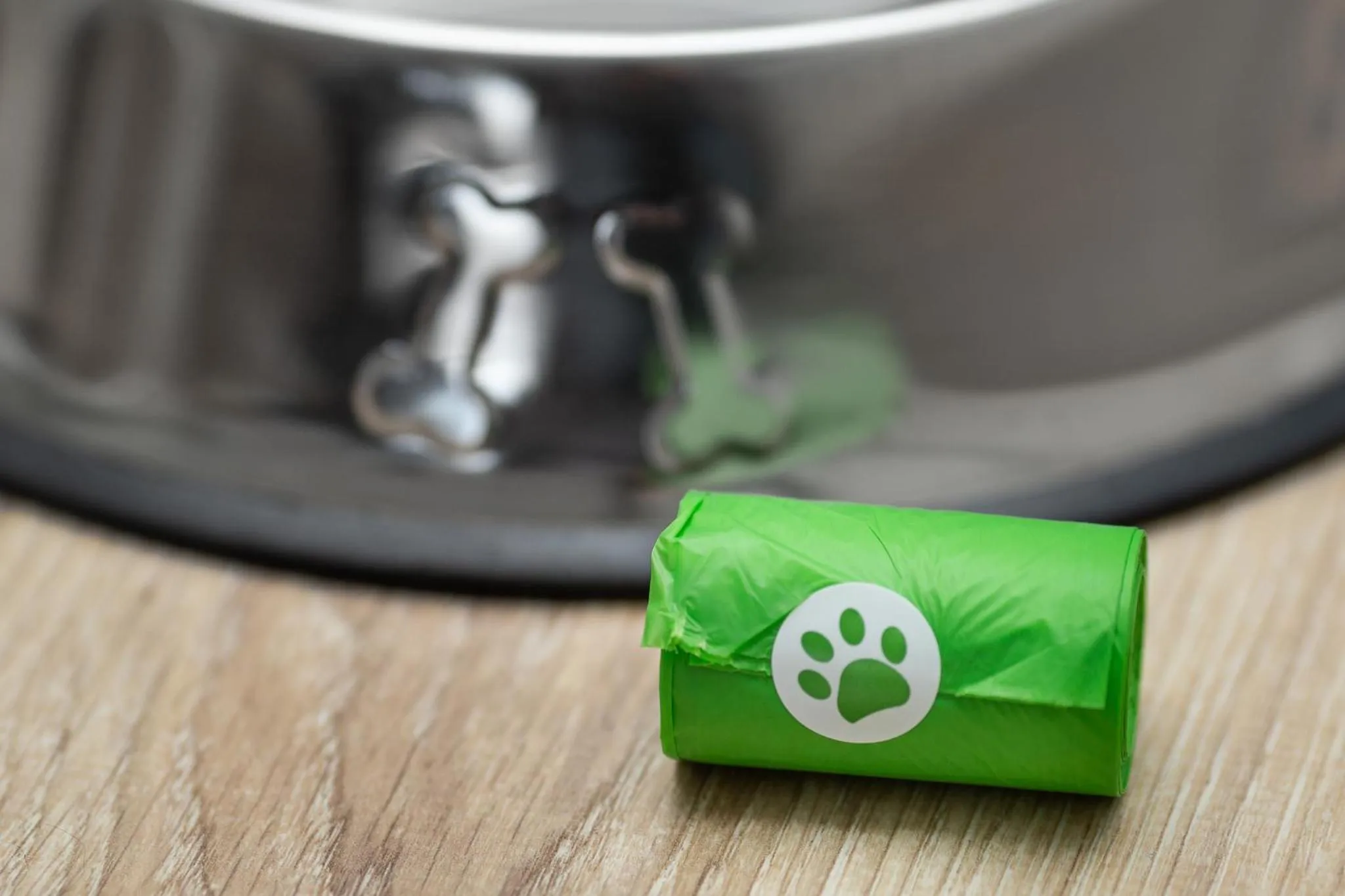 Animals in MARGI Brandy Apartament