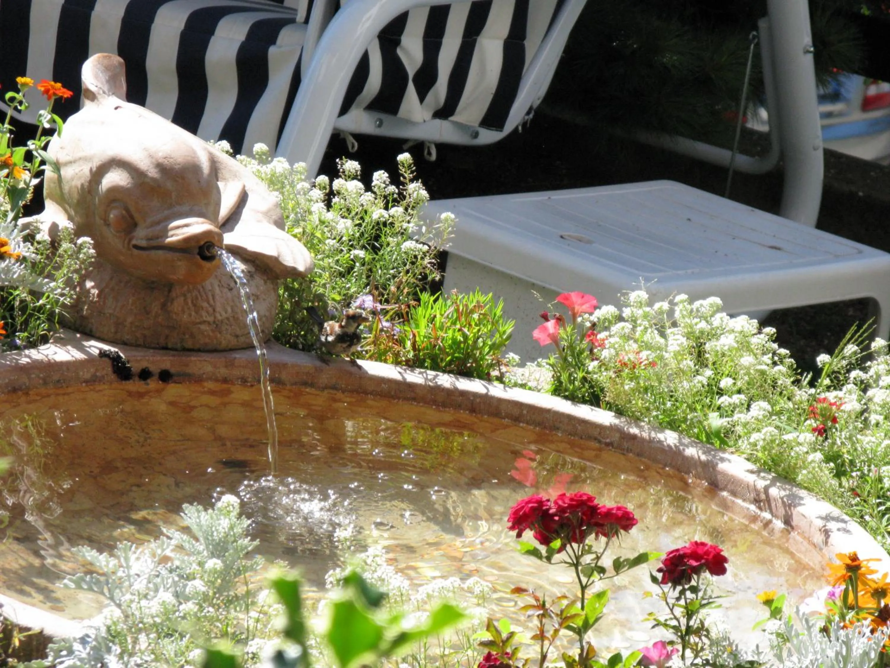 Day in Albergo Miravalle-Tre Cime Views