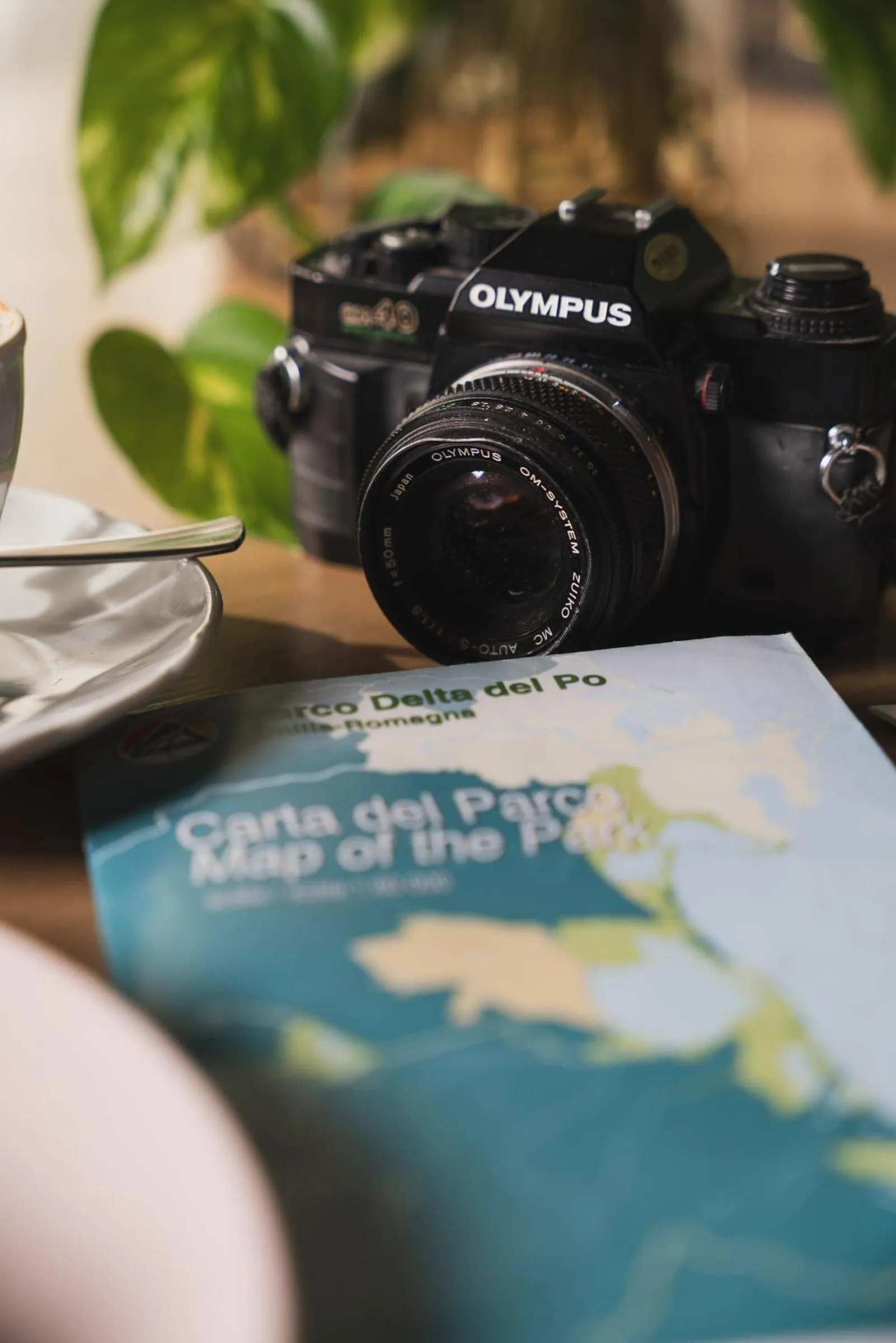 Decorative detail in Al Ponticello