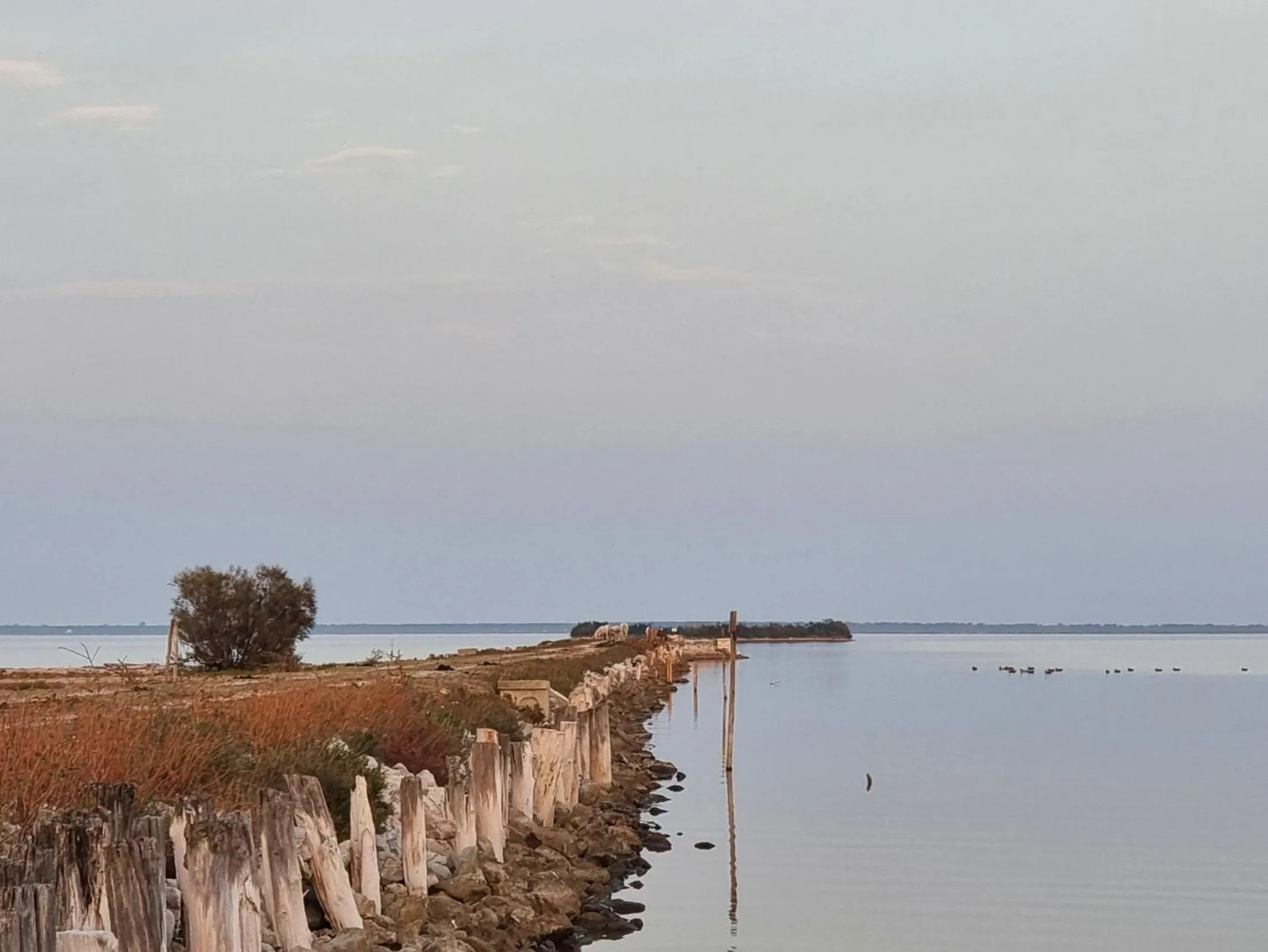 Hiking in Al Ponticello