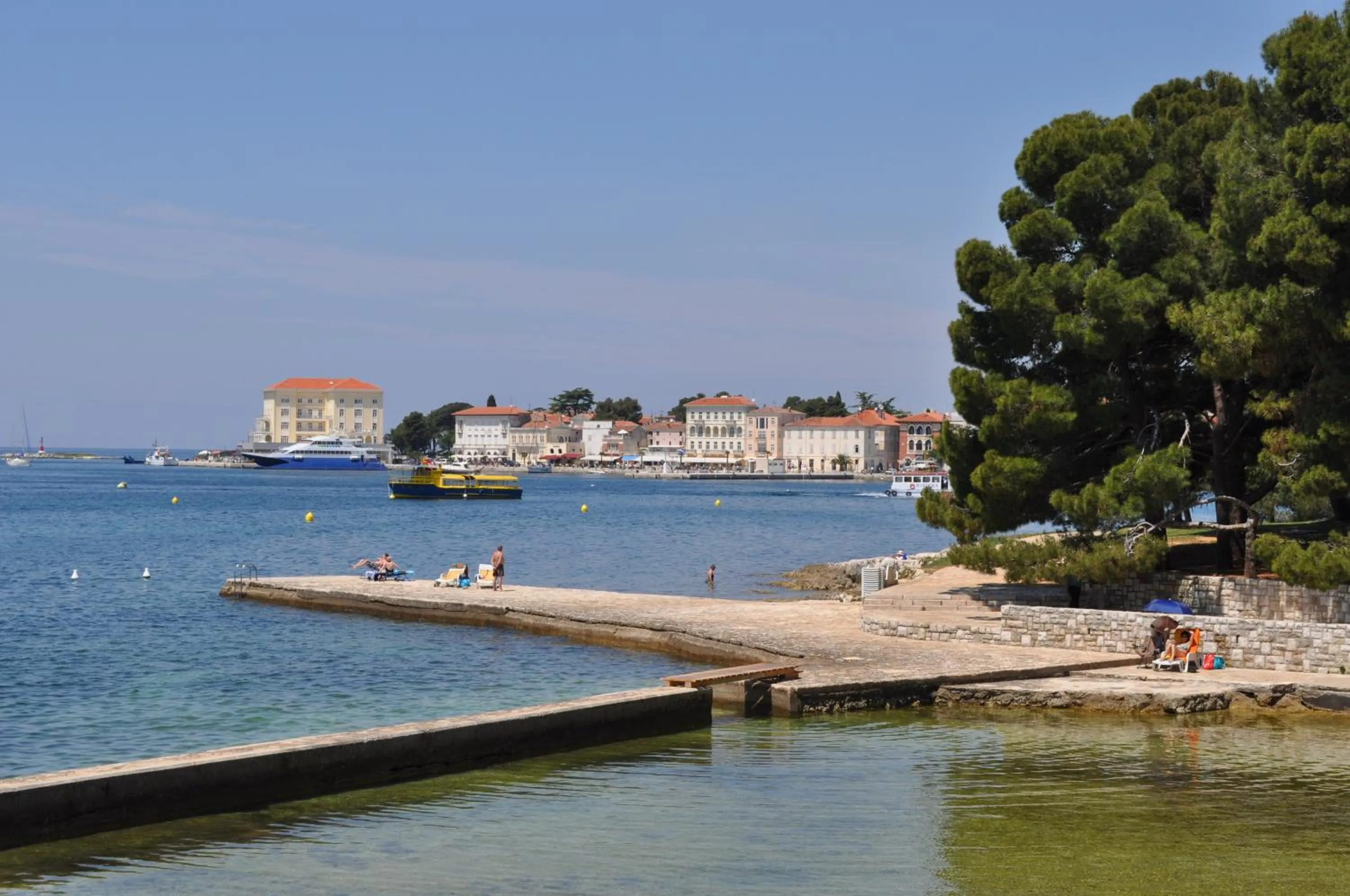 Area and facilities in Hotel Flores