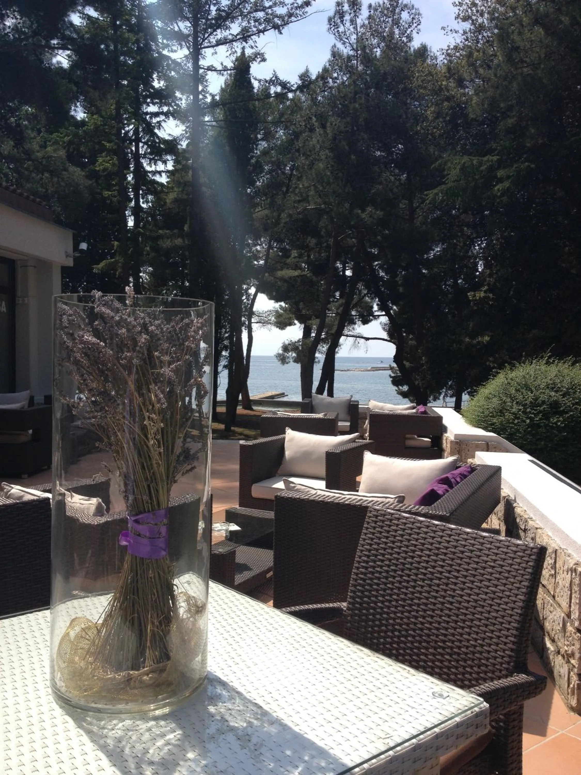 View (from property/room) in Hotel Flores