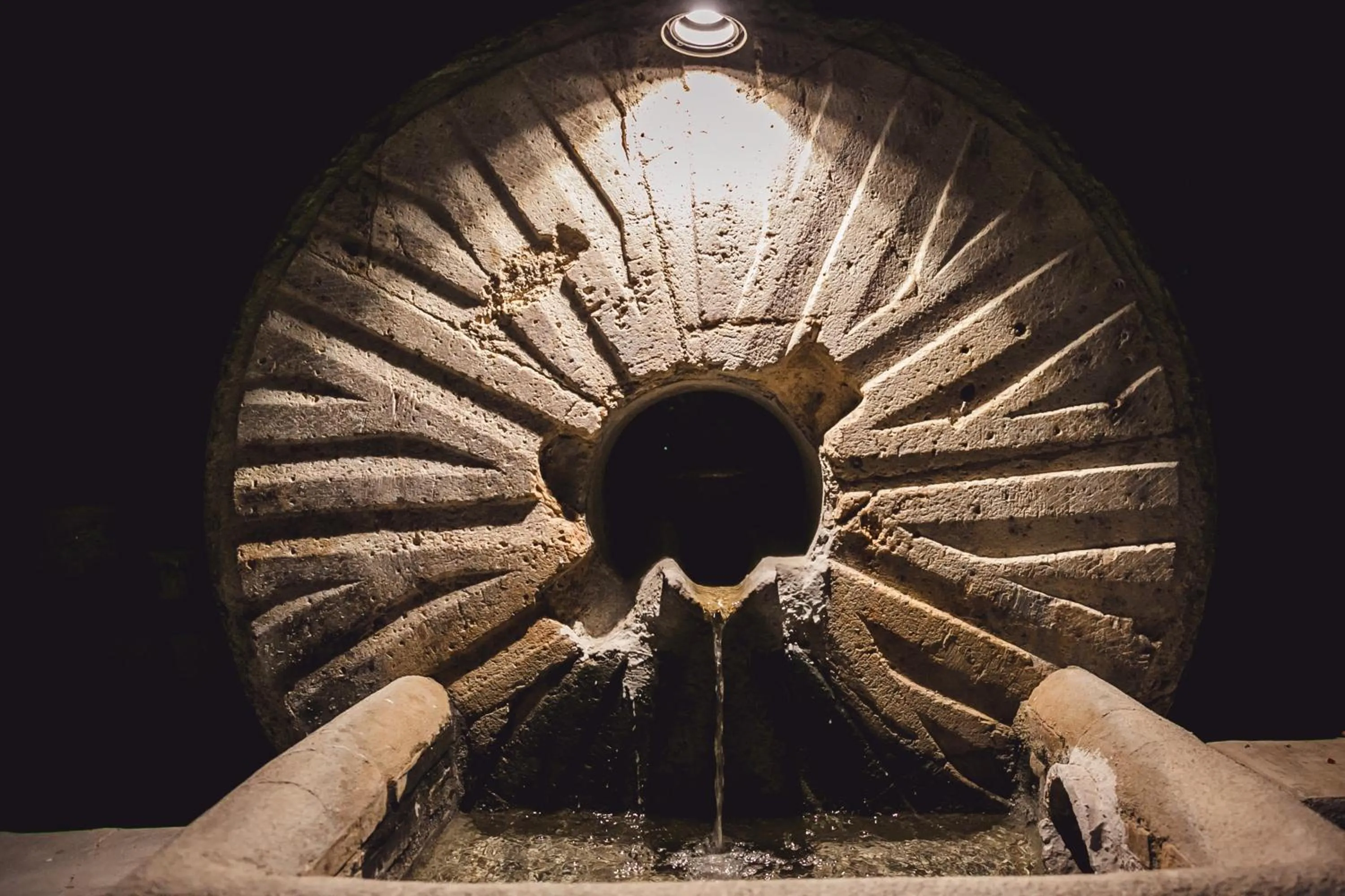 Garden in Hotel Rural El Molino de Felipe