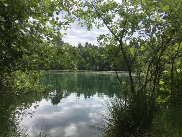 View (from property/room) in AuxiliumWellness Get Back to Serenity