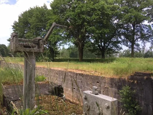 Neighbourhood in AuxiliumWellness Get Back to Serenity