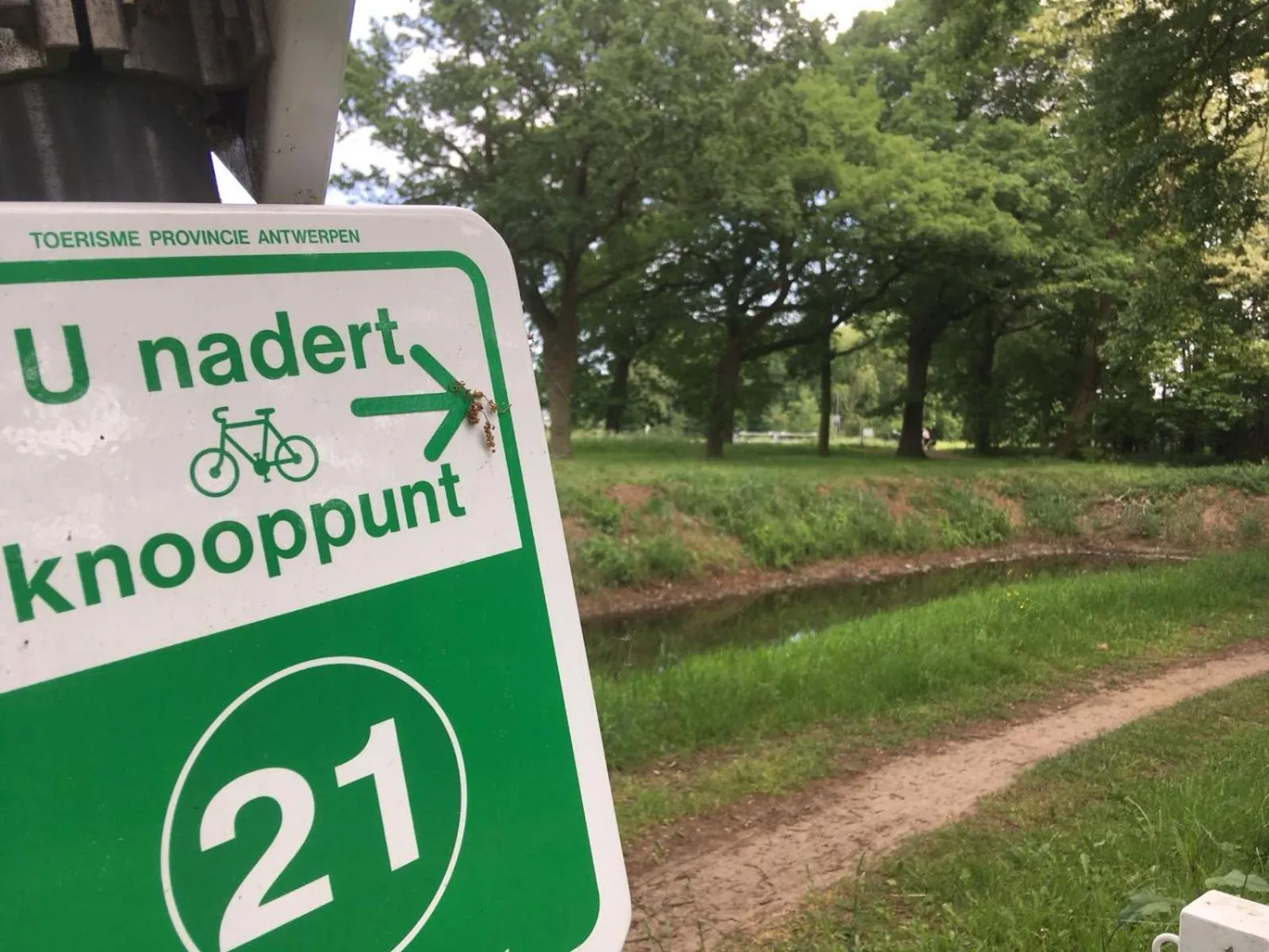 Neighbourhood in AuxiliumWellness Get Back to Serenity