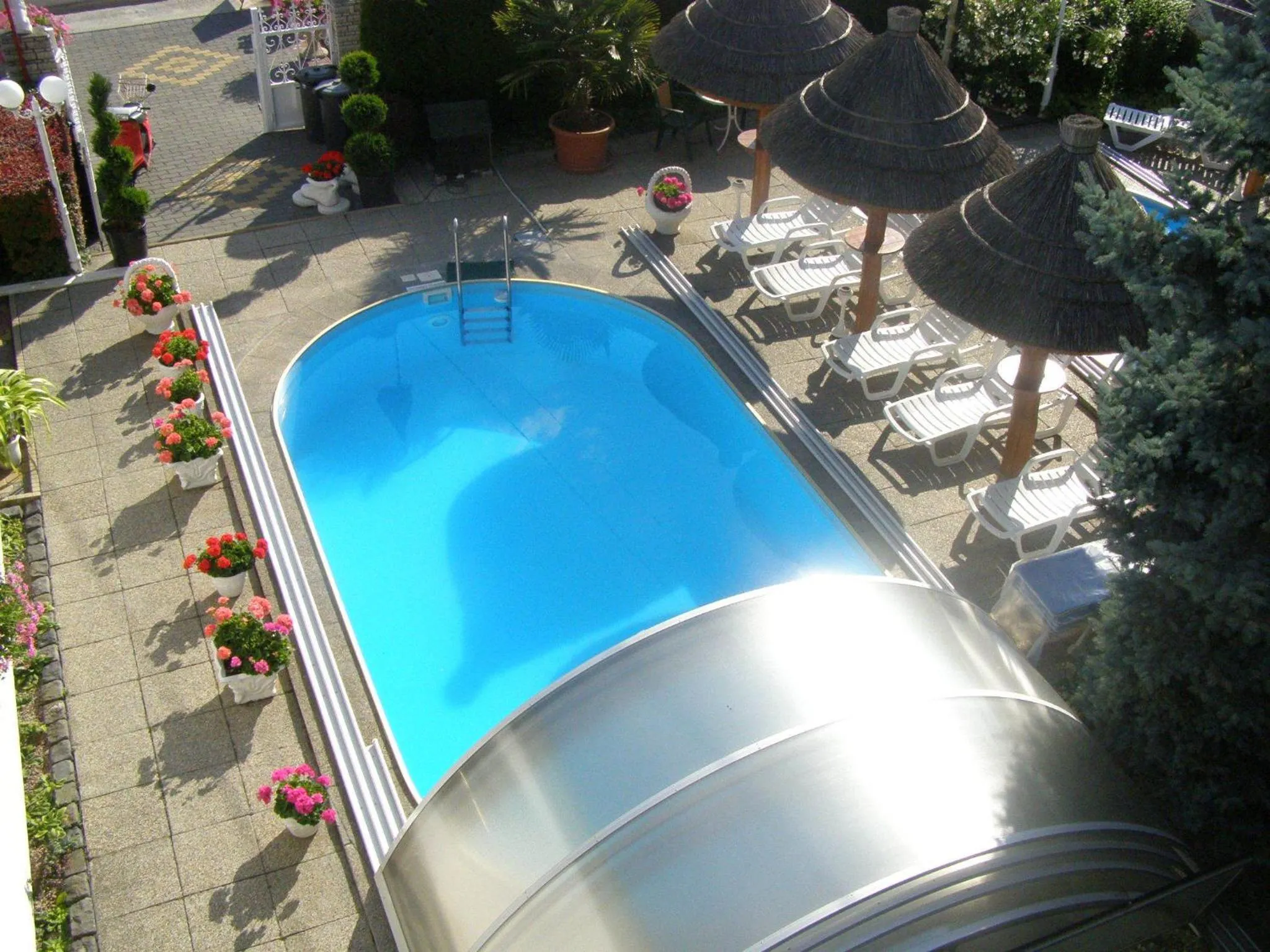 Swimming pool in Steinhaus Bed & Breakfast