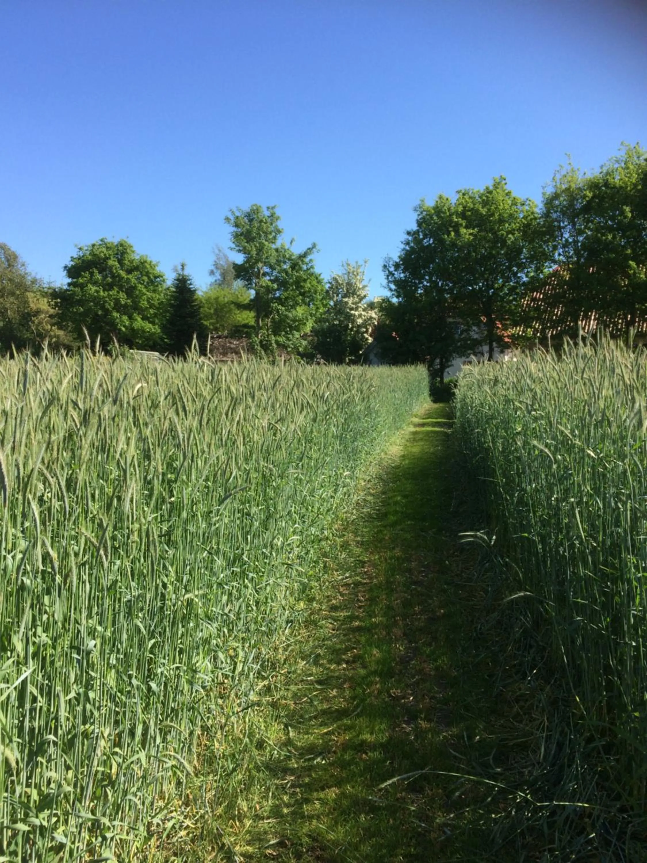 Garden in Billund Holiday - Assengaard B & B