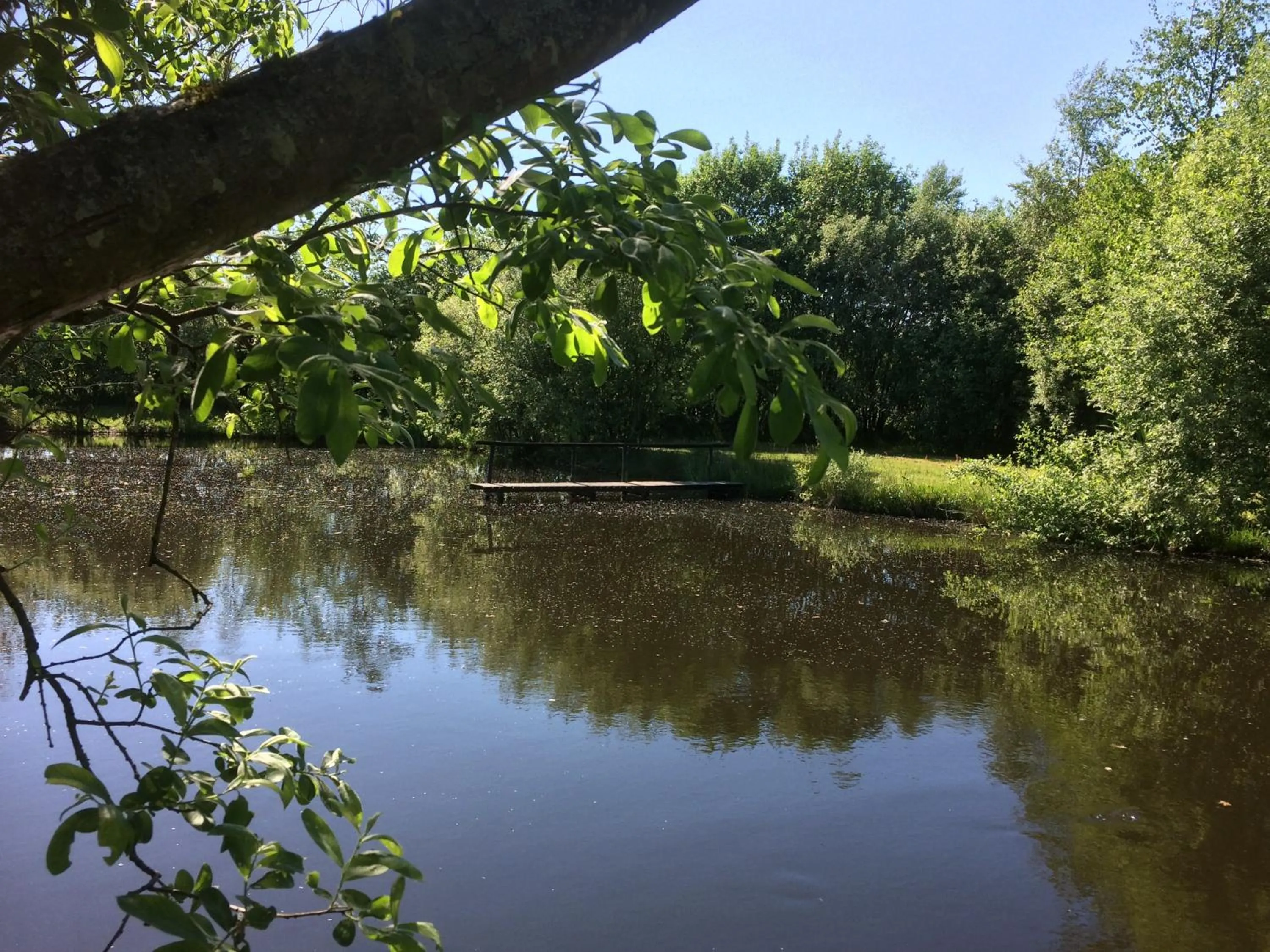 Garden in Billund Holiday - Assengaard B & B
