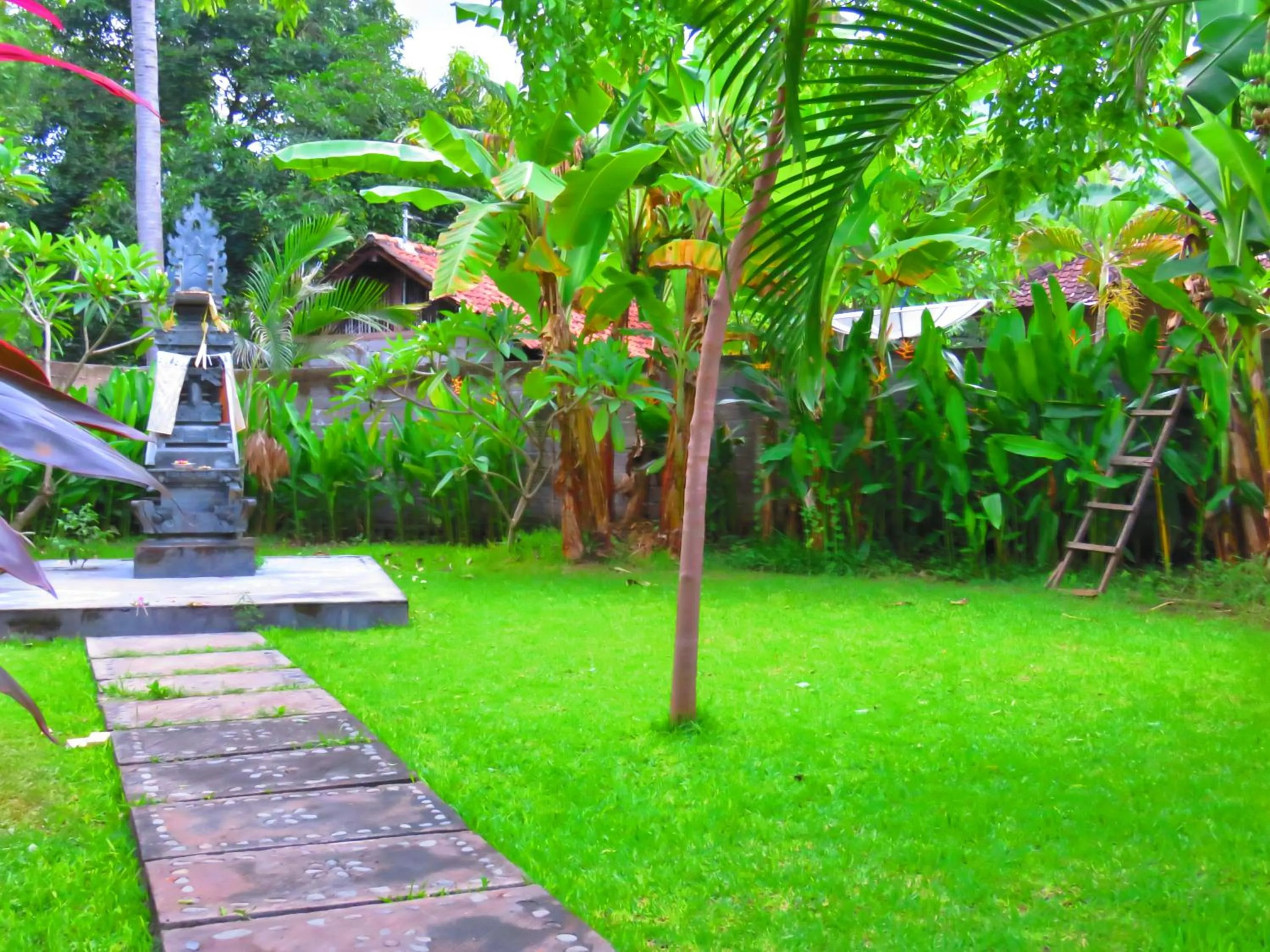 Garden in Suka Sari Cottages