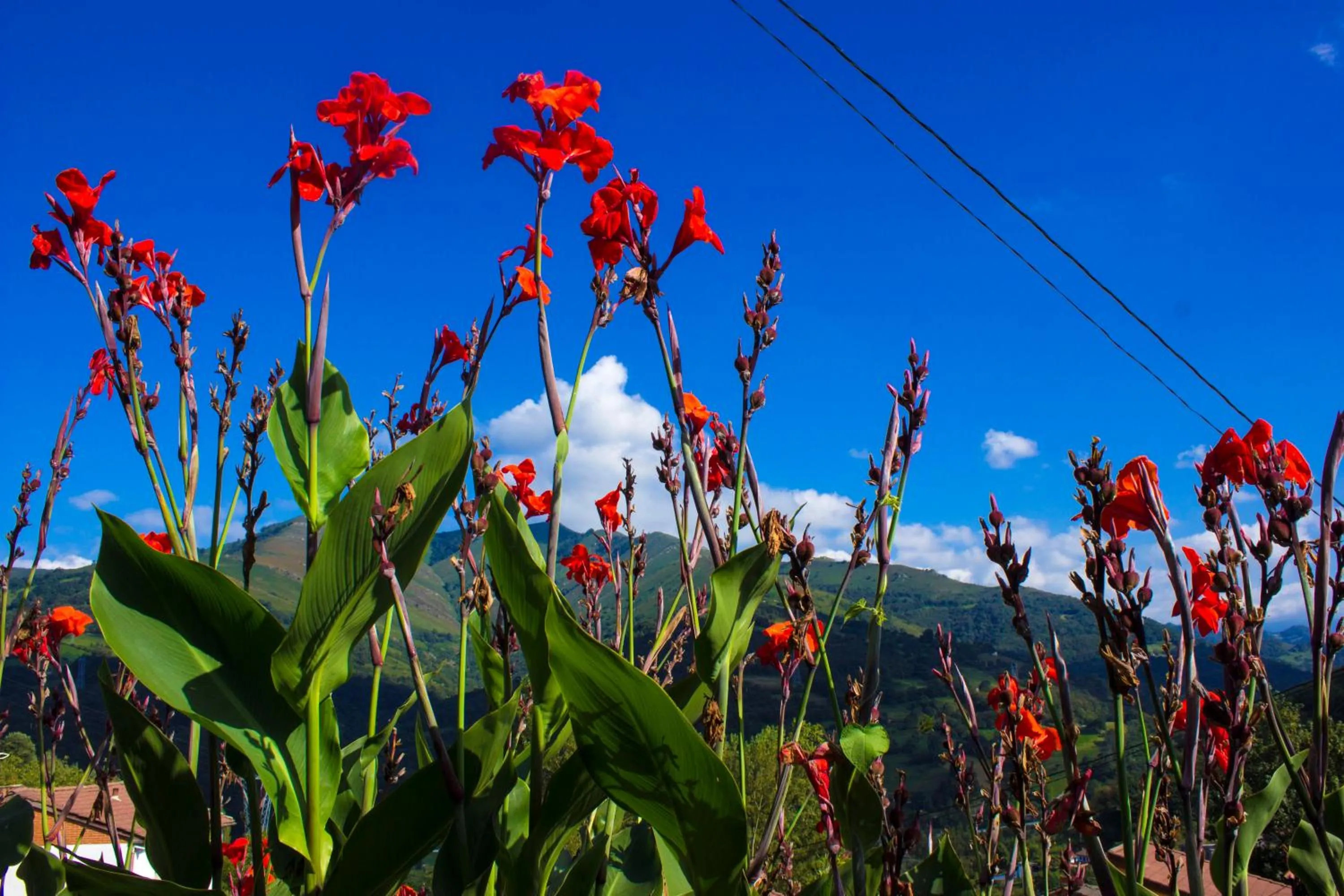 Hotel Doña Gaudiosa