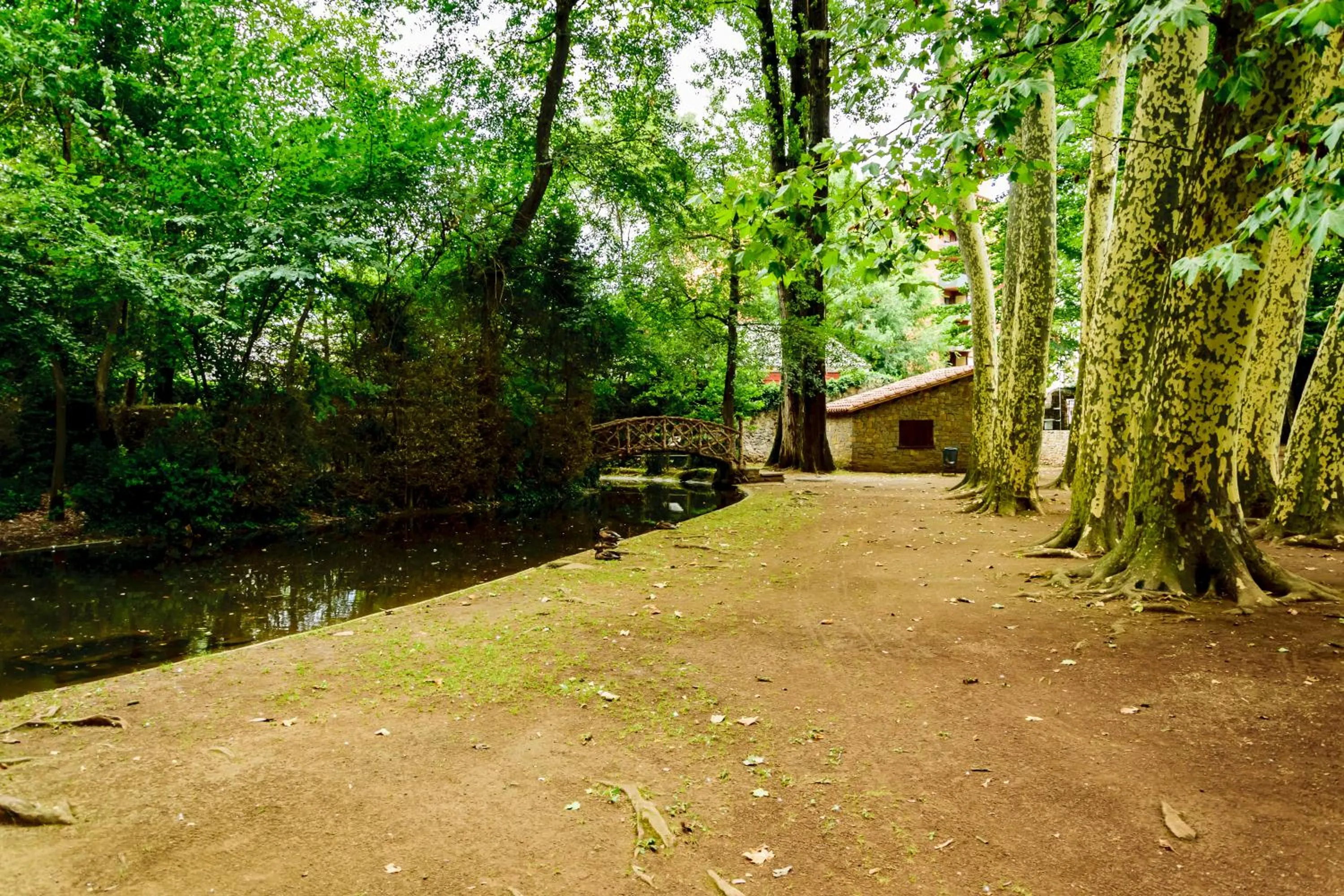 Activities in Hotel Estació