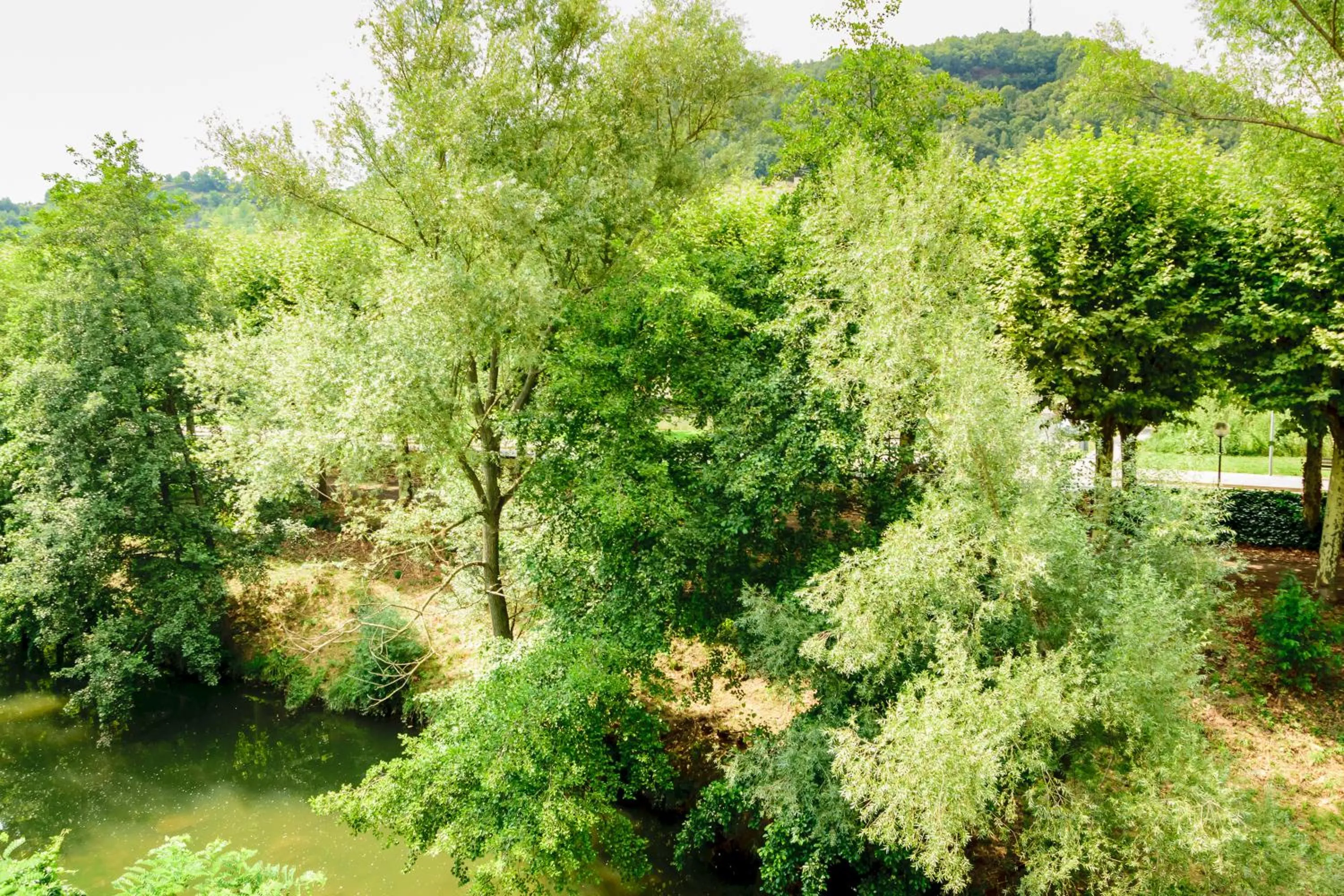 Other in Hotel Estació