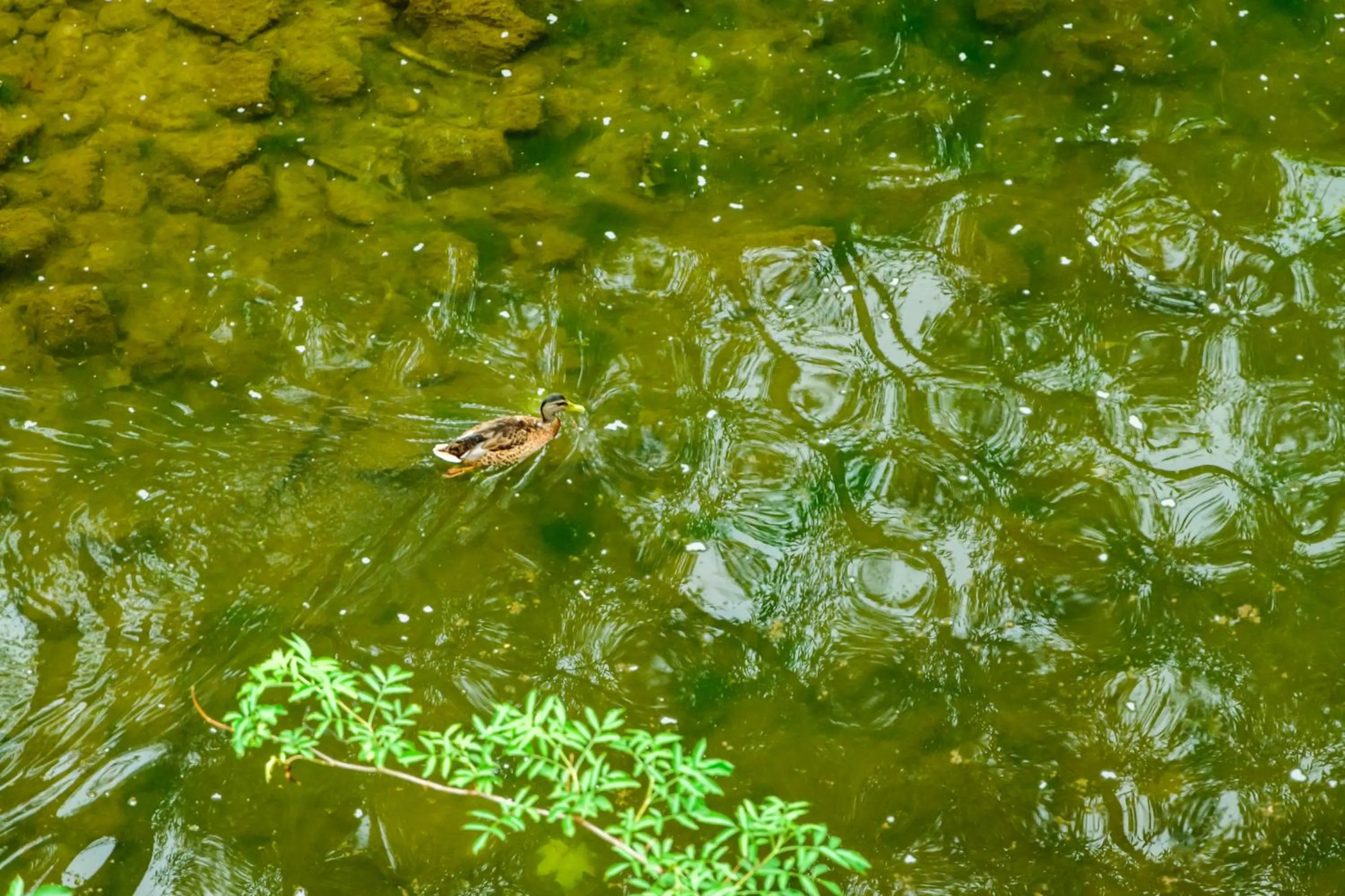 Activities in Hotel Estació