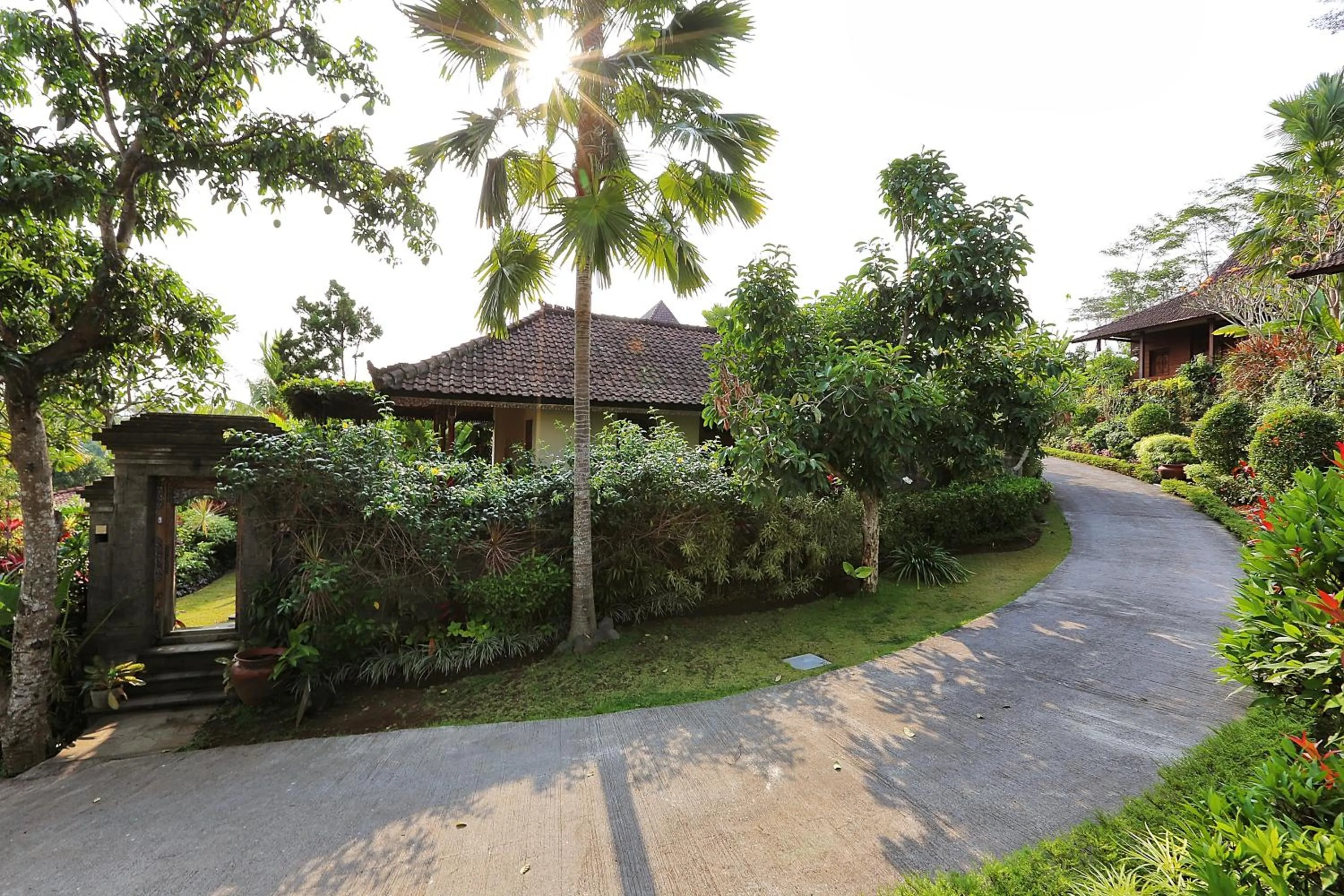 Garden in The Sanyas Retreat