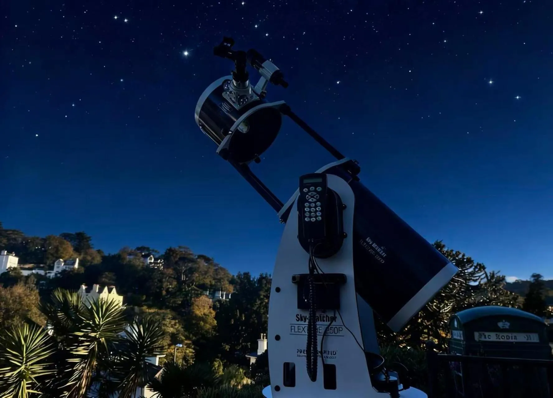 Garden view in The Robin Hill