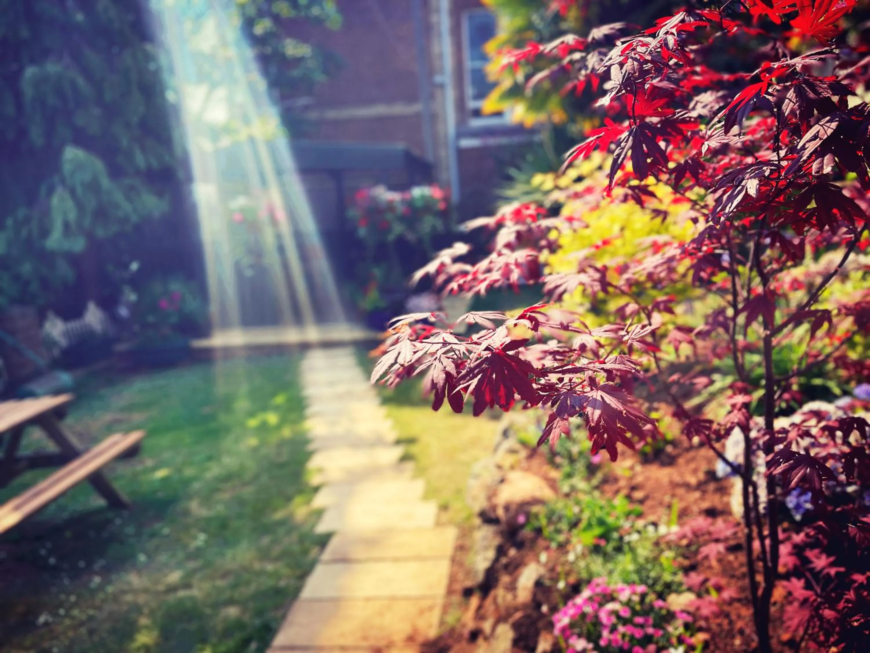 Garden in The Robin Hill