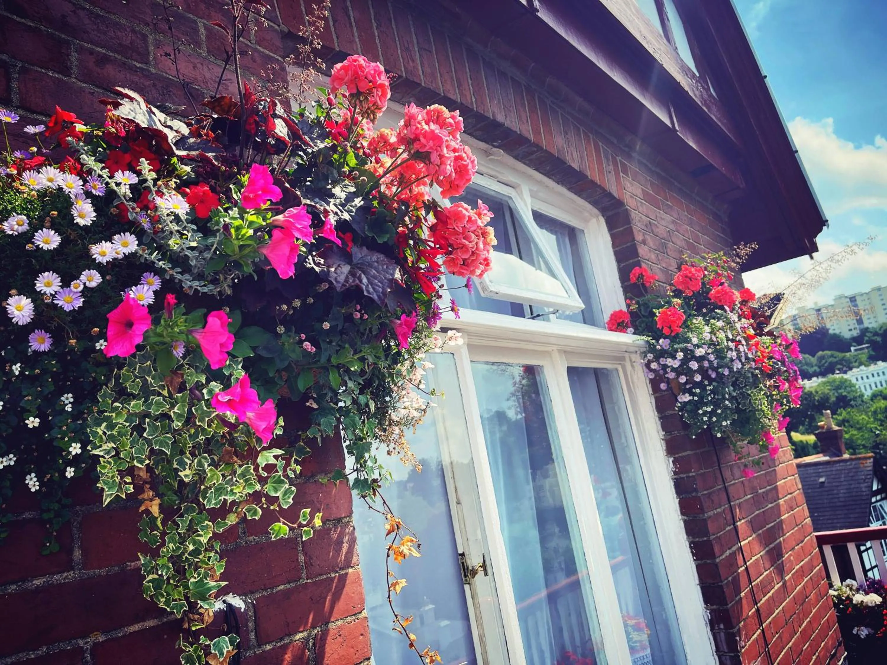 Property building in The Robin Hill