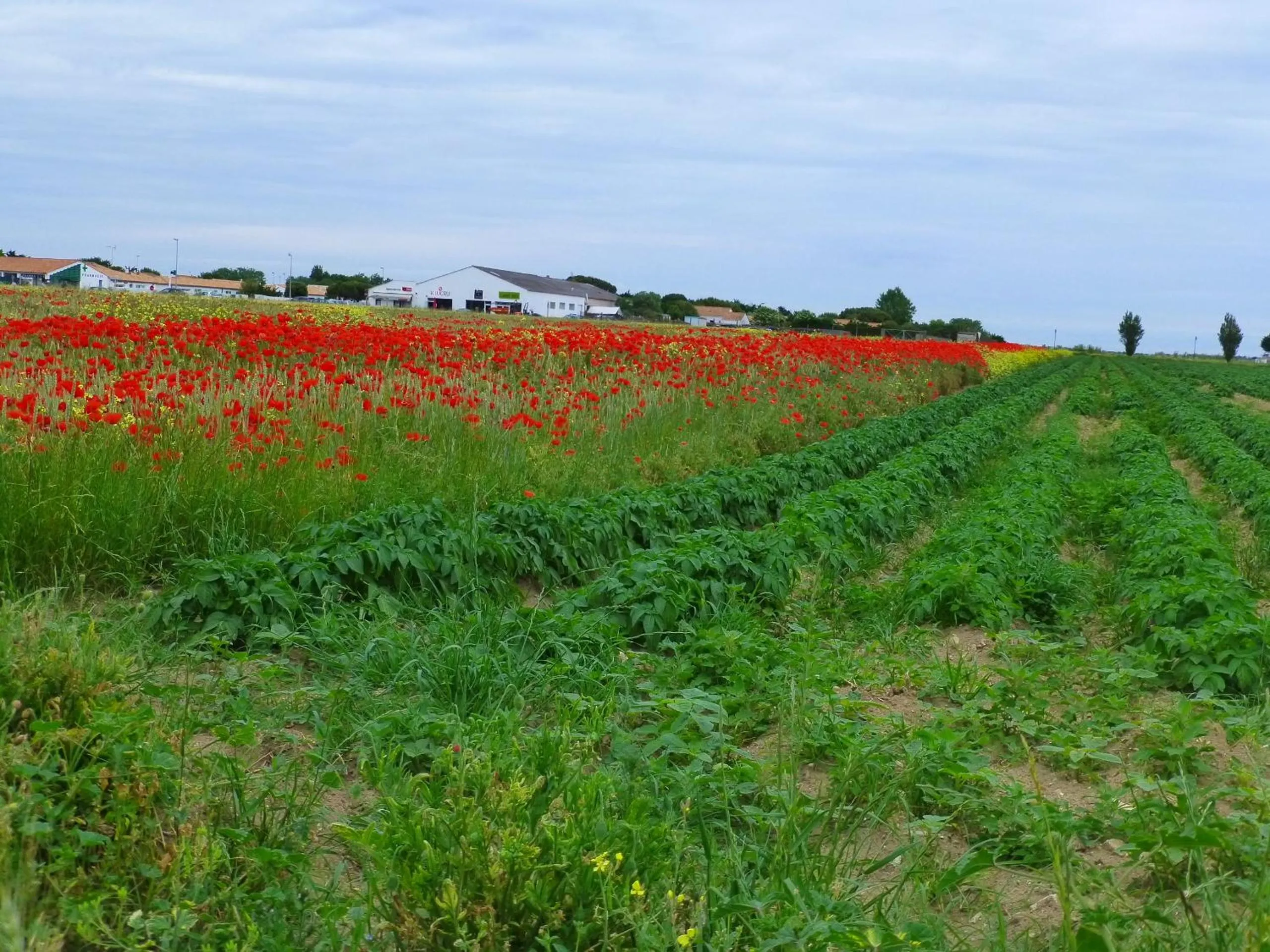 Relais Motel de Maisonnay