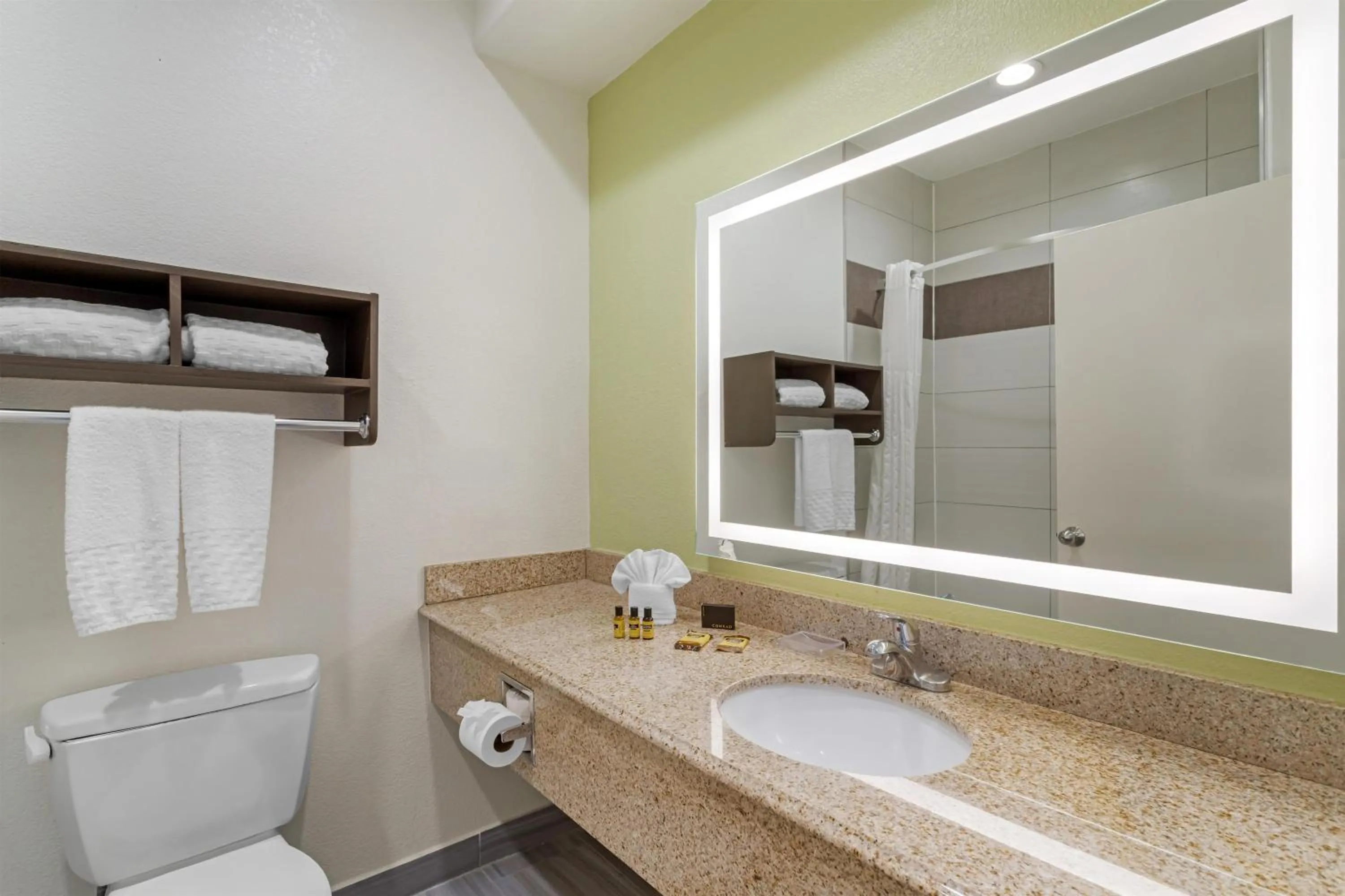 Bathroom in Best Western Plus North Houston Inn & Suites
