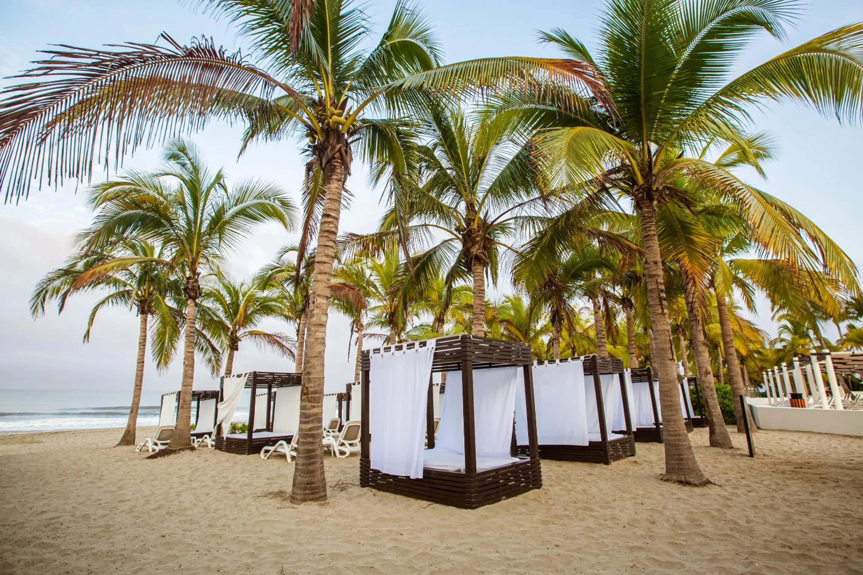 Beach in Occidental Nuevo Vallarta - All Inclusive