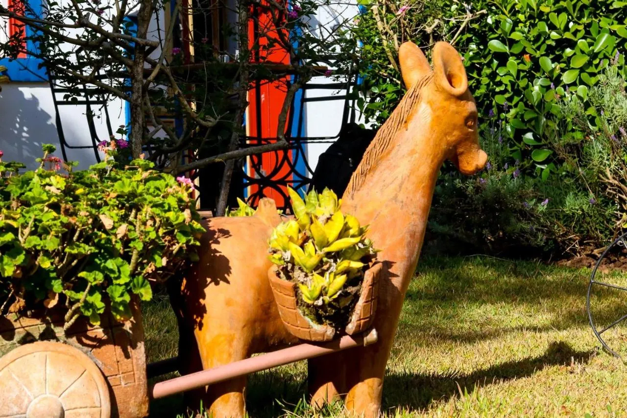 Garden in Pousada Araujo Bazilio