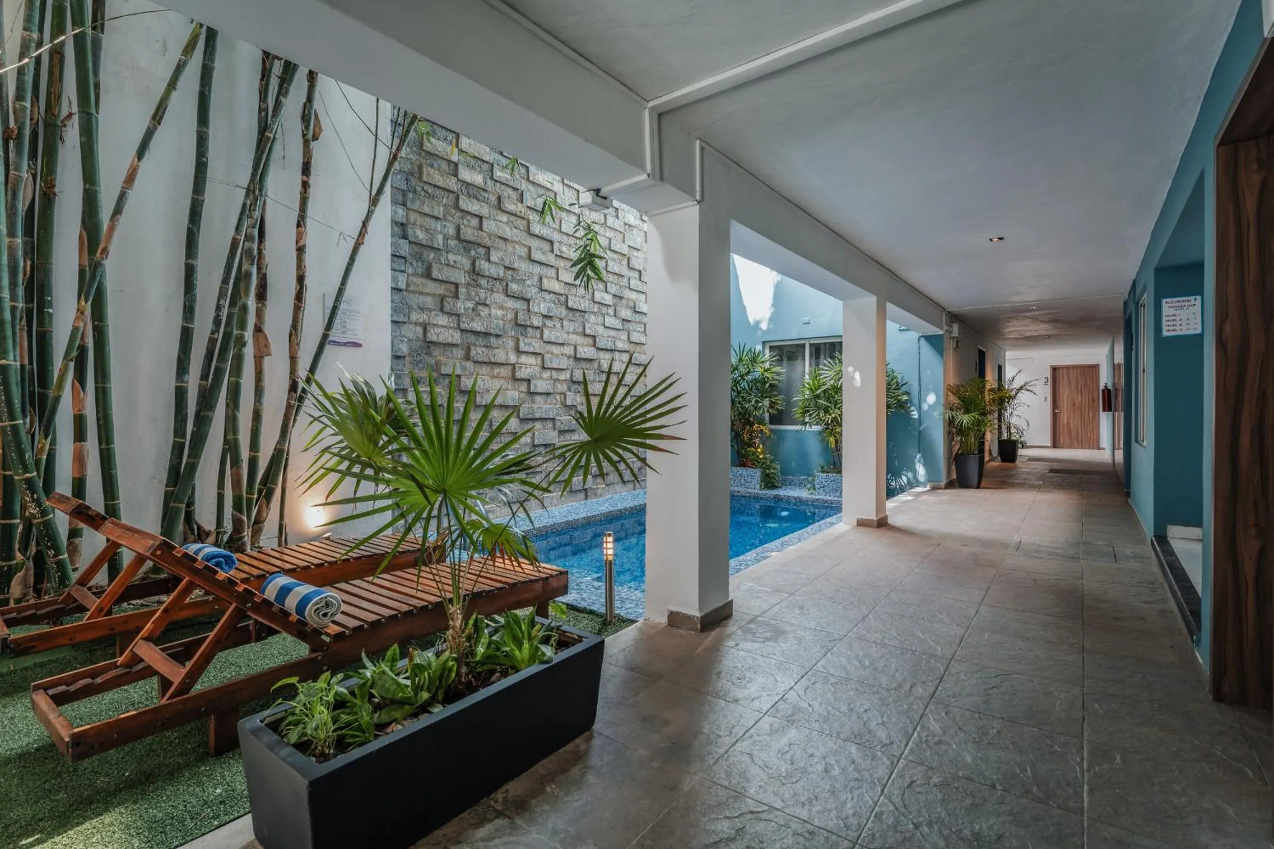 Garden in Hotel Casa Nova, Merida