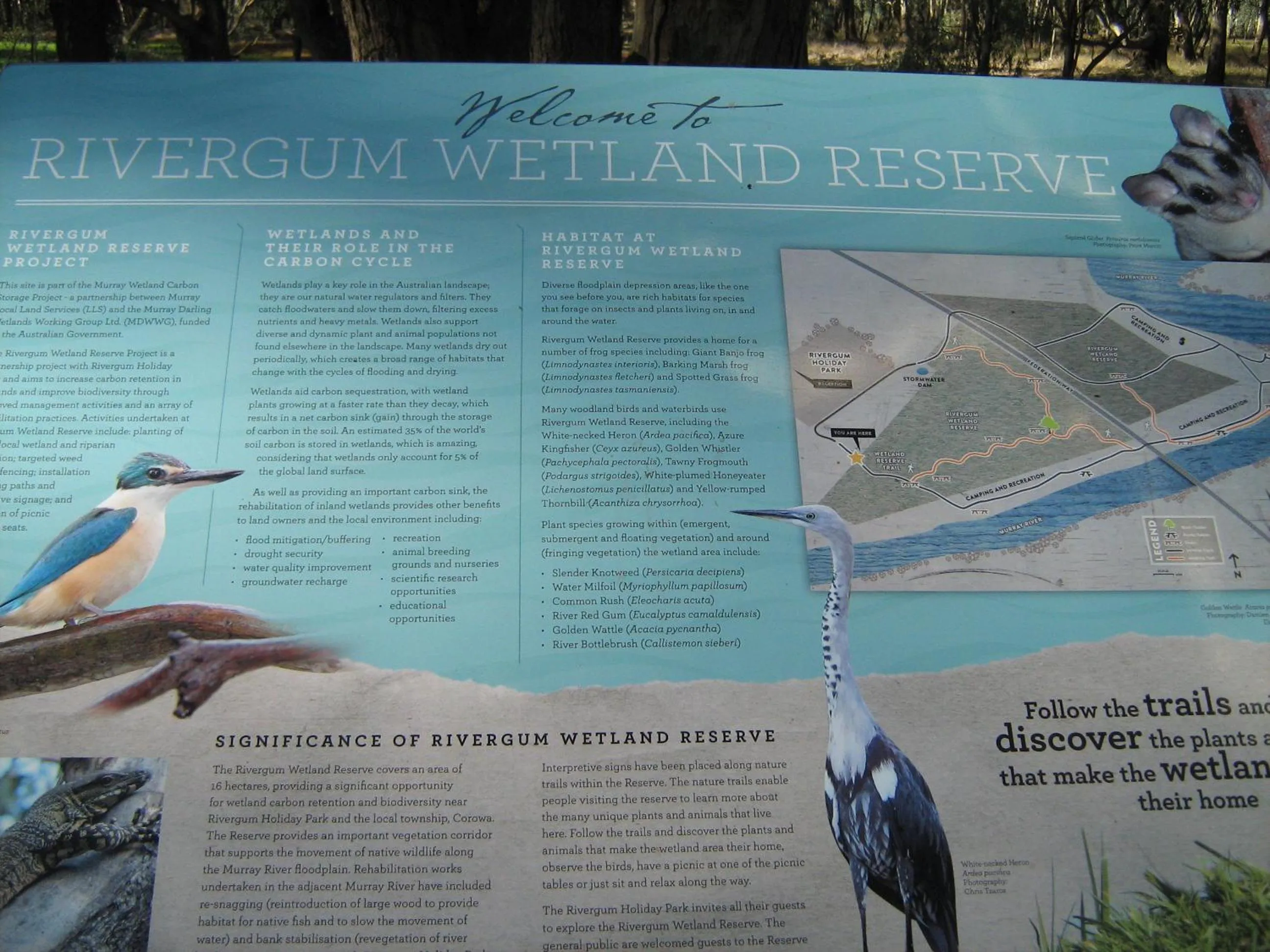 Activities in Rivergum Holiday Park